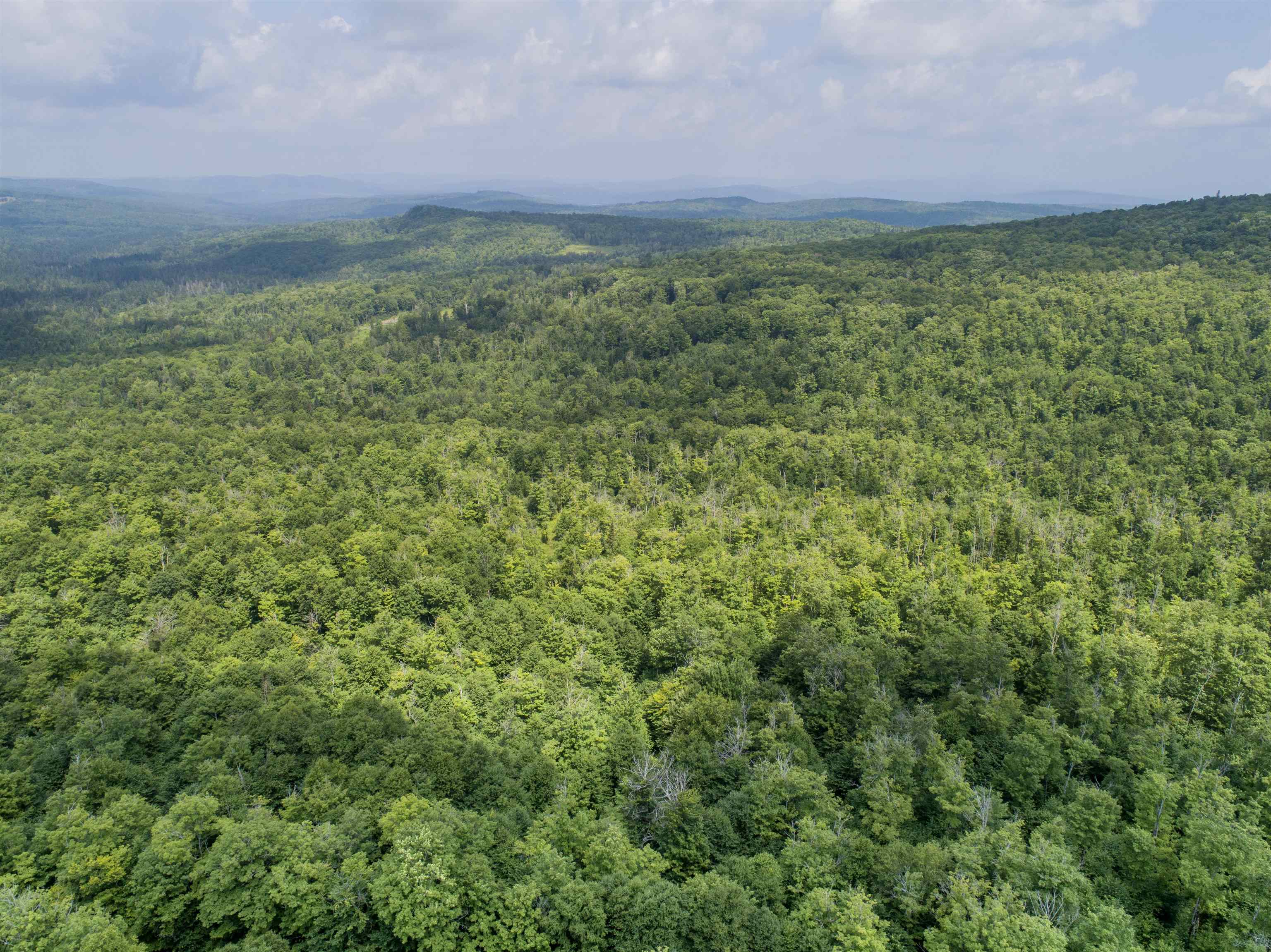 Lot 16 Deadwater Road Property Photo 8