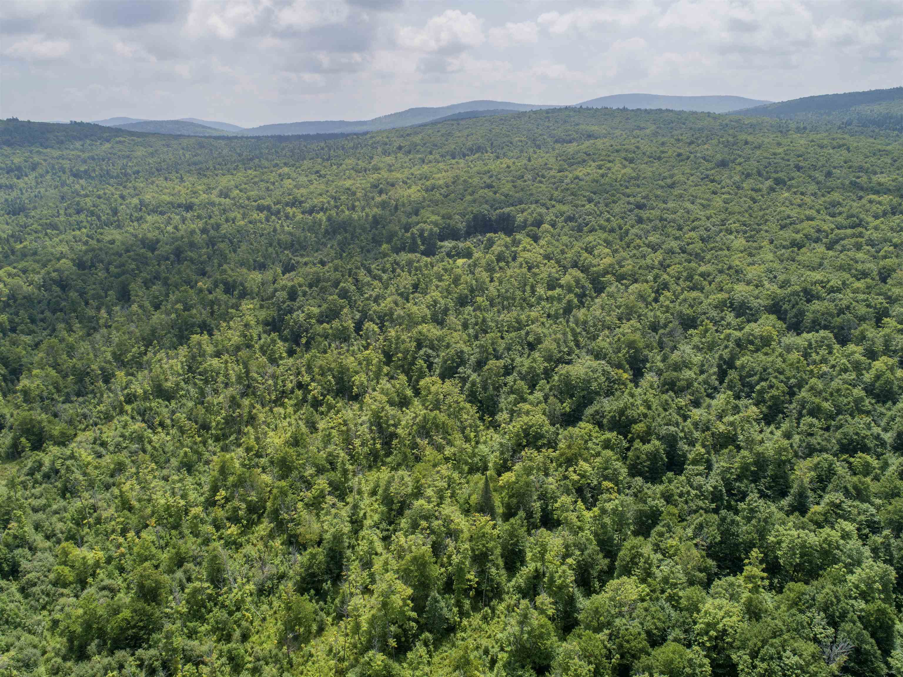 Lot 16 Deadwater Road Property Photo 11