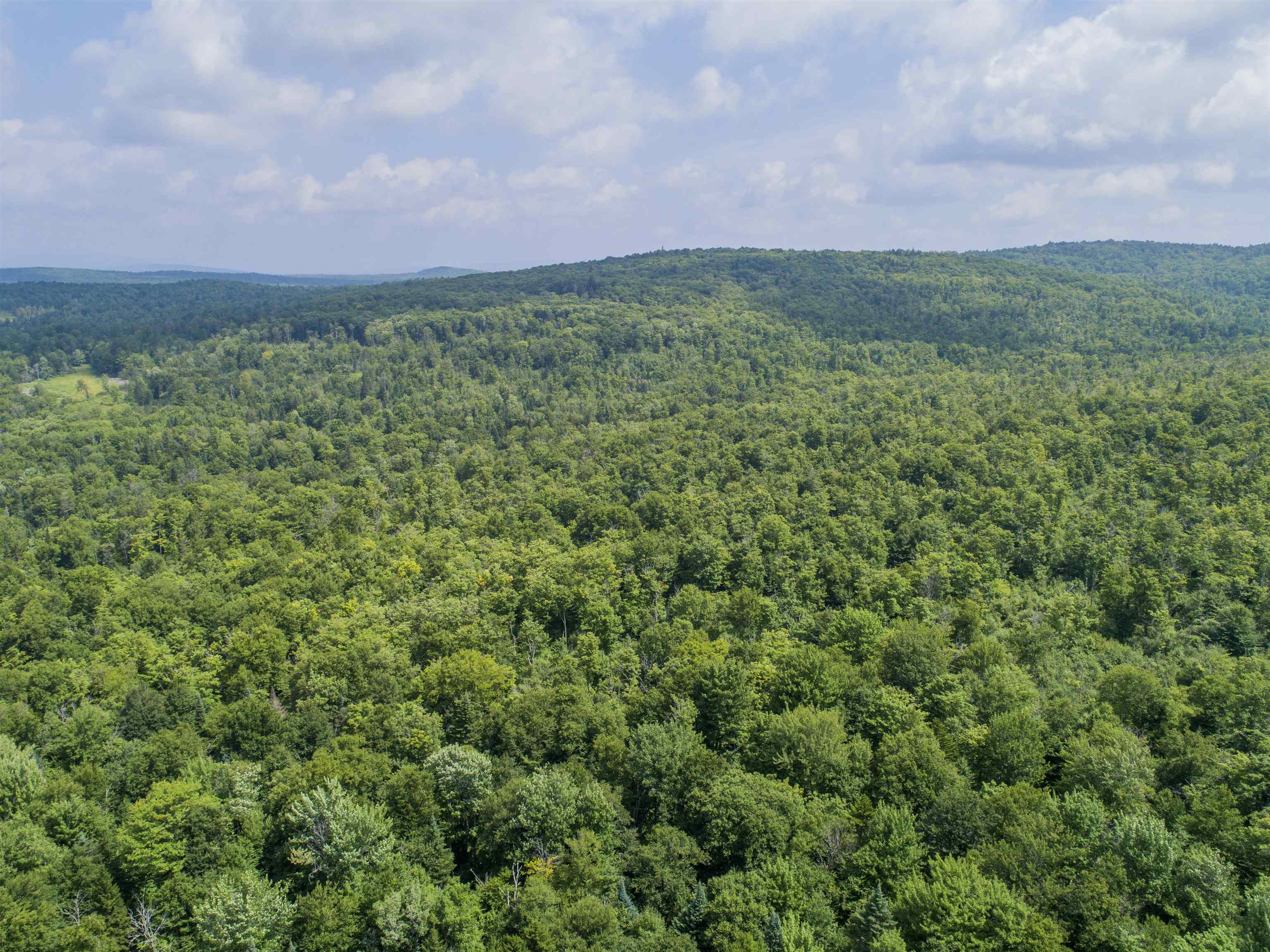 Lot 16 Deadwater Road Property Photo 12