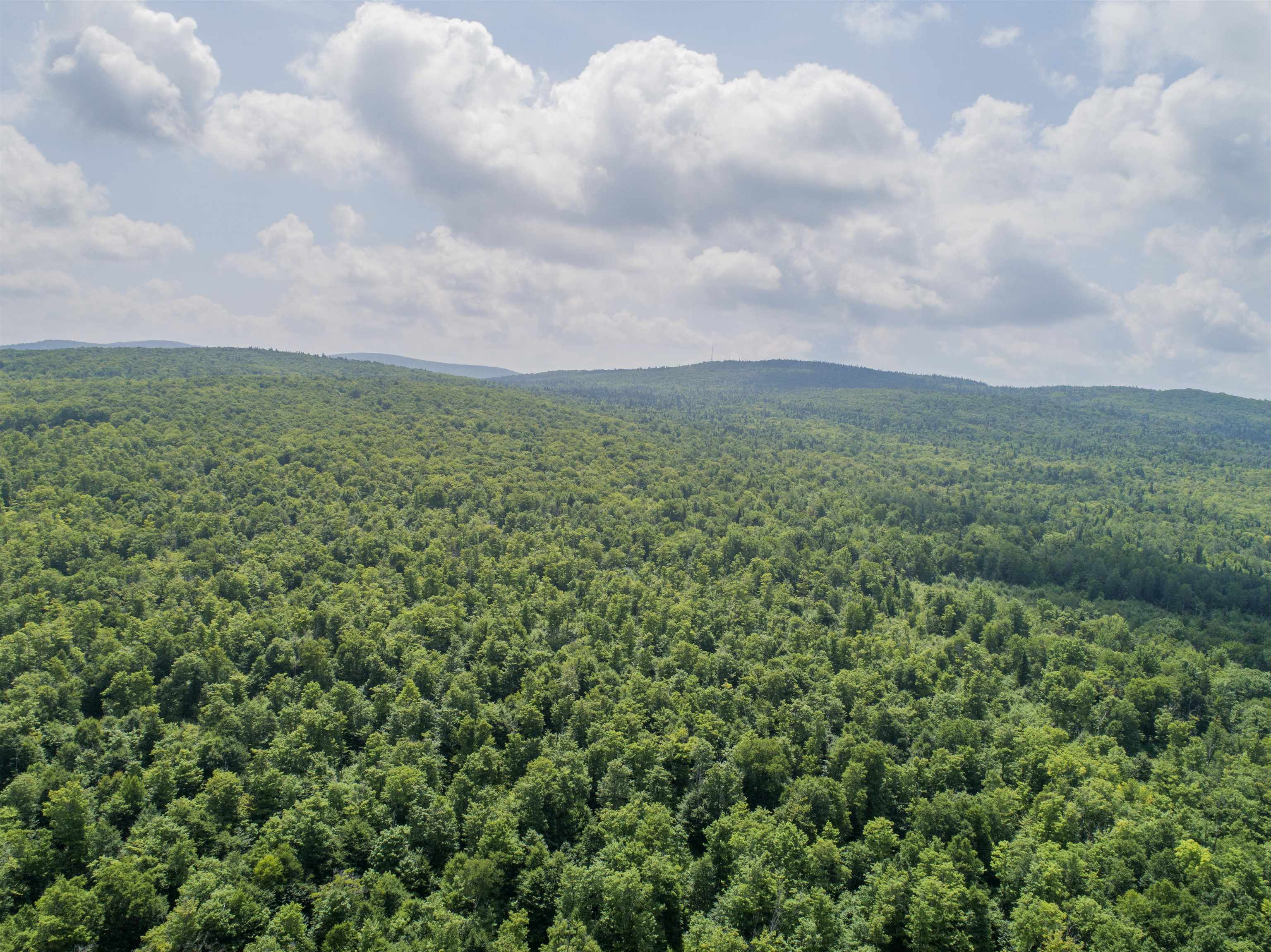 Lot 16 Deadwater Road Property Photo 13