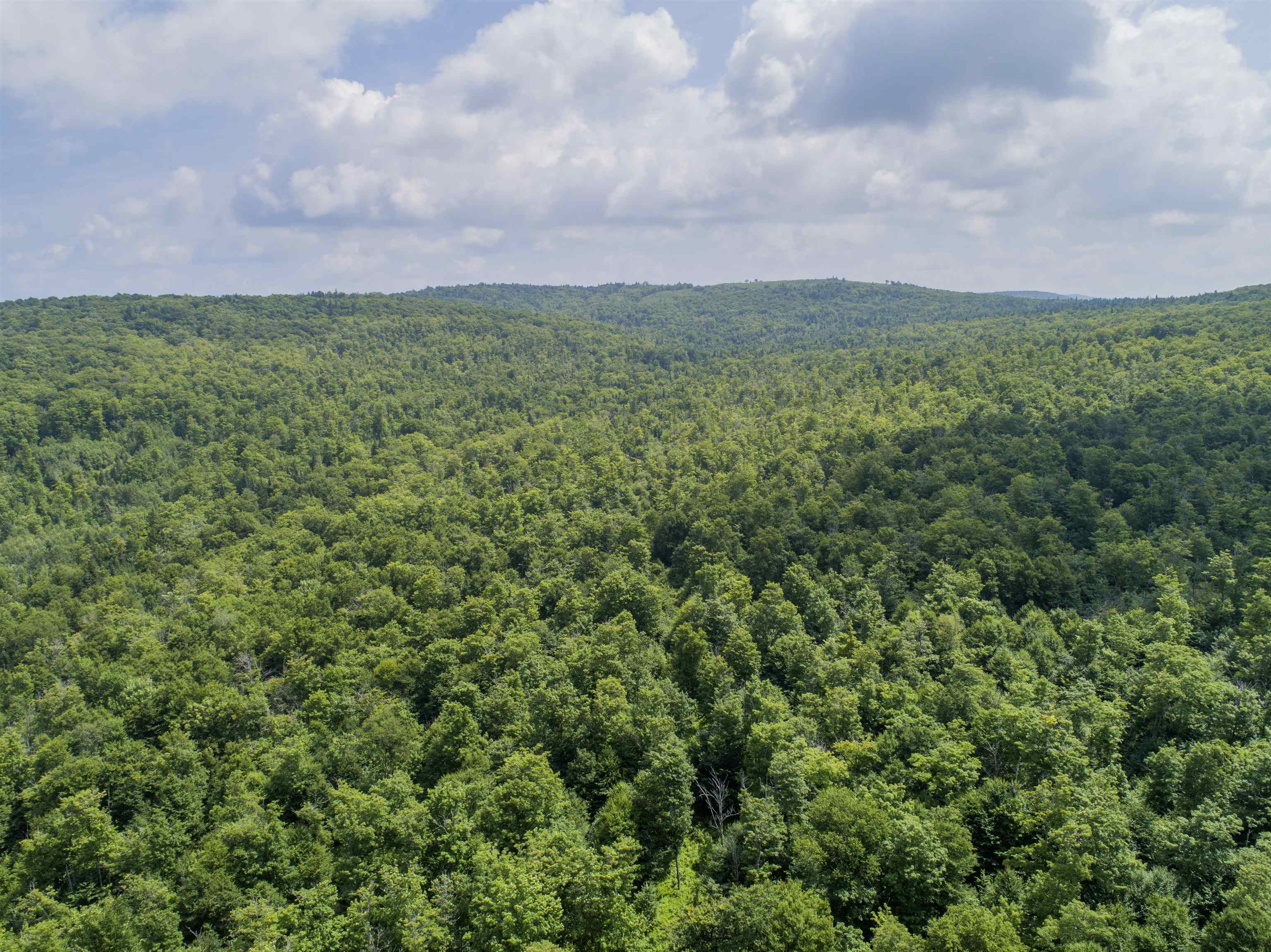 Lot 16 Deadwater Road Property Photo 14