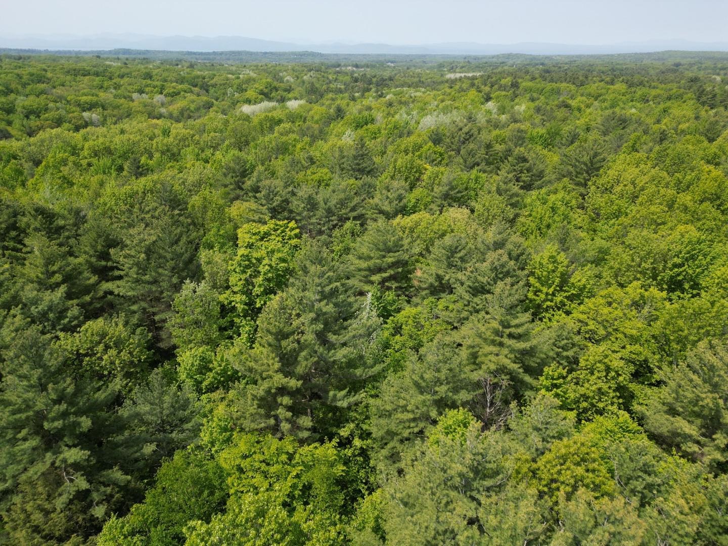 1745 Roosevelt Highway Property Photo 22