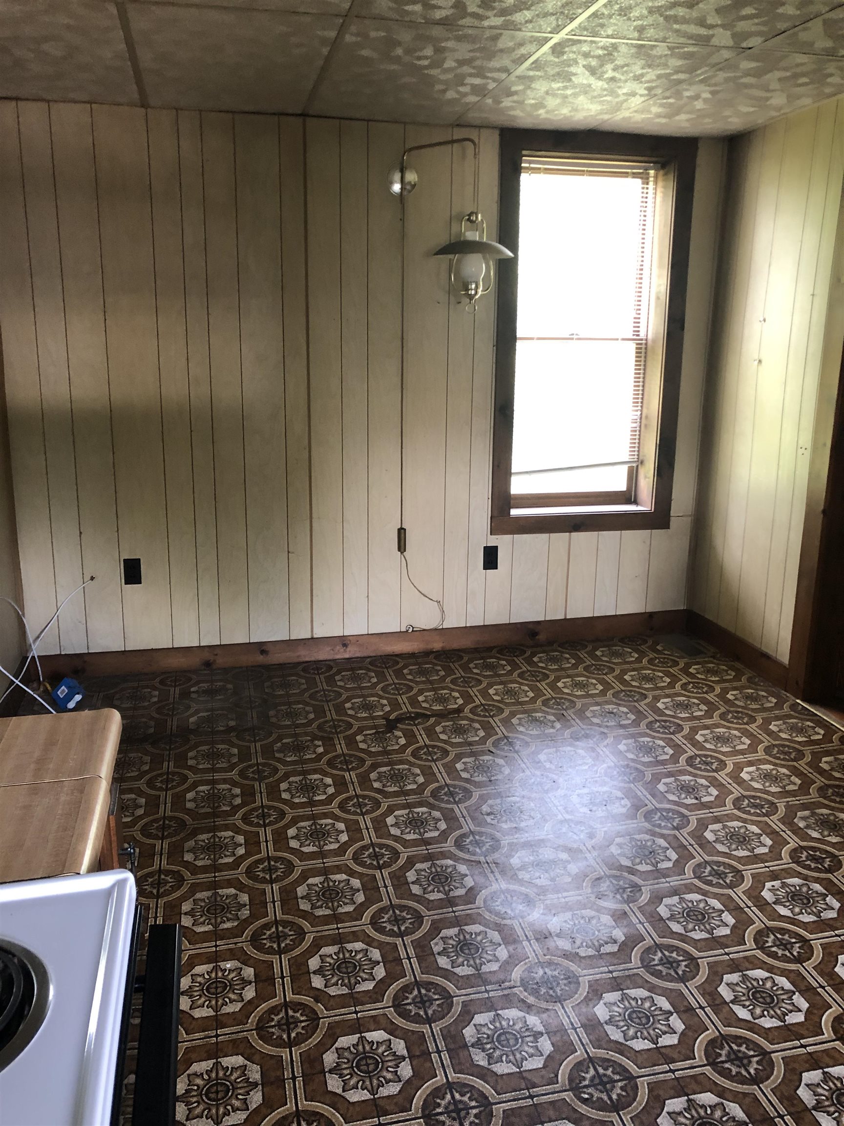 9 Troy Street Property Photo 13