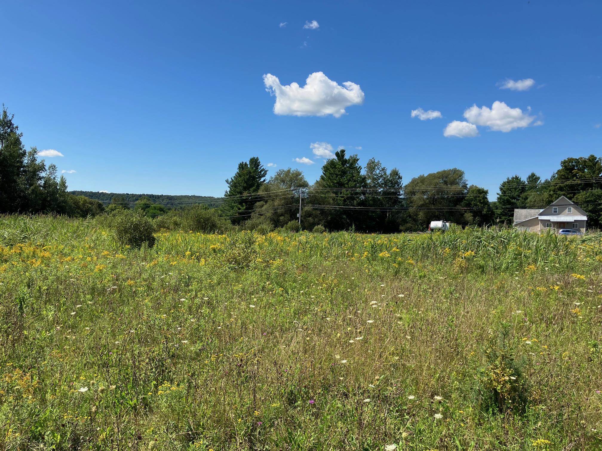 311, Lot 2 Main Street Property Photo 1