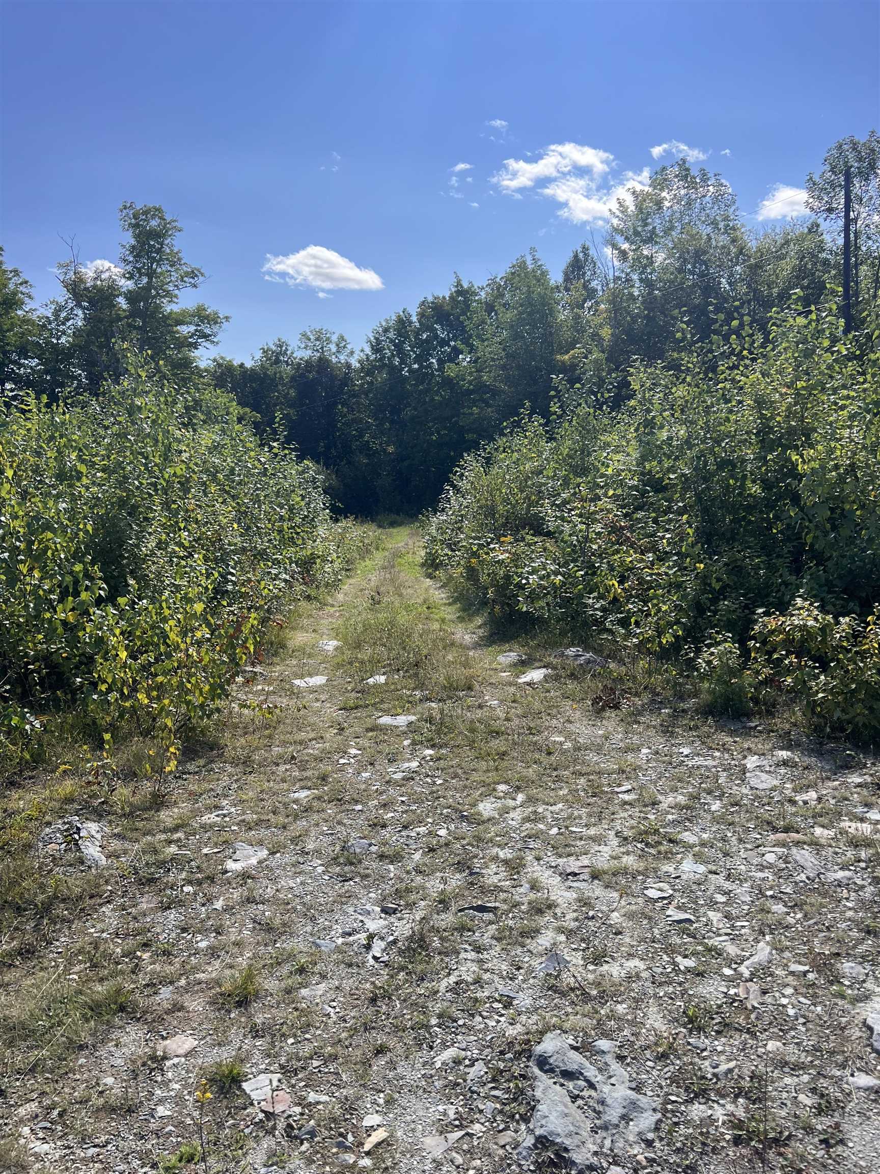 92.1 Kimball Road Property Photo 20
