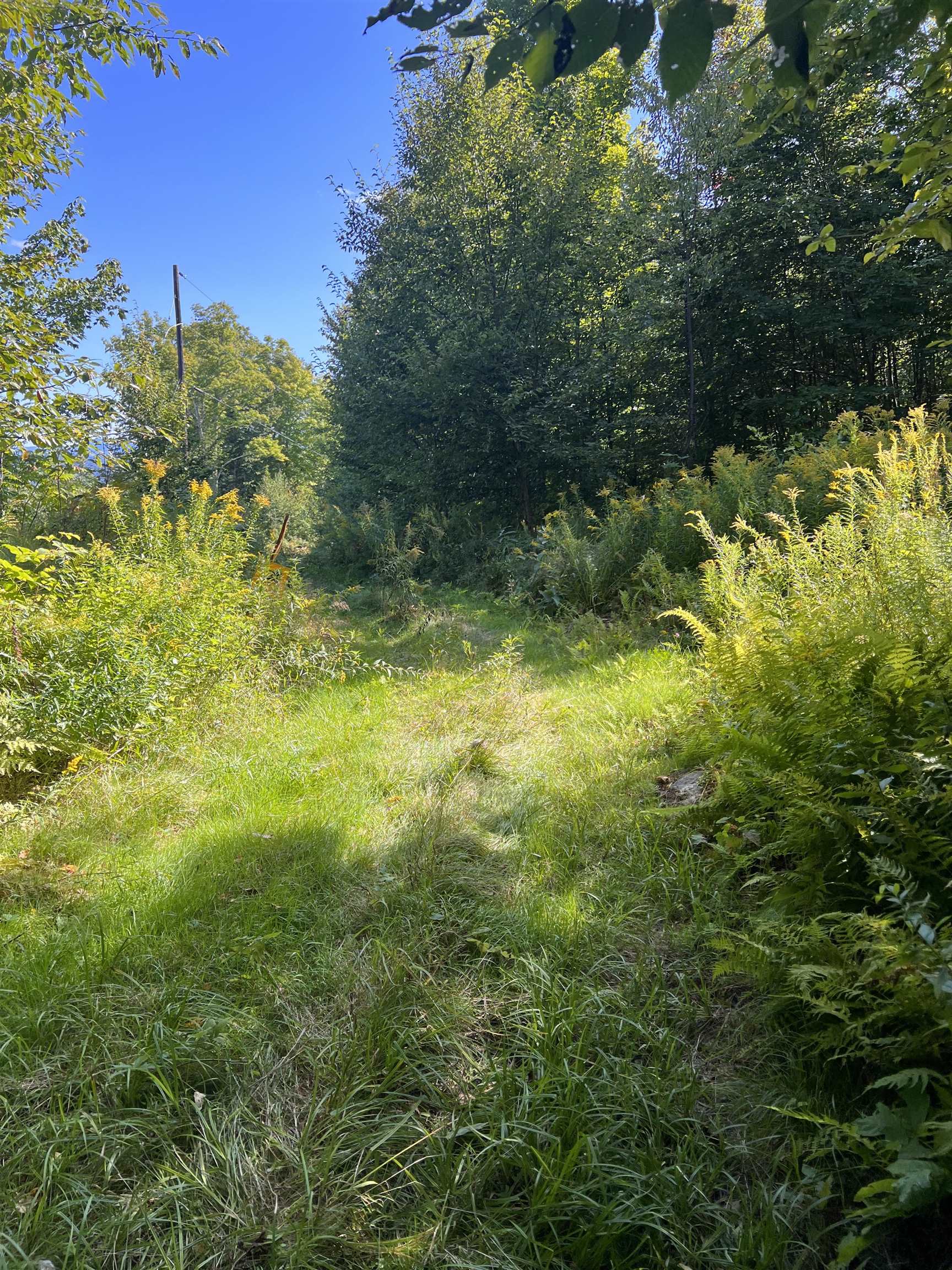 92.1 Kimball Road Property Photo 21