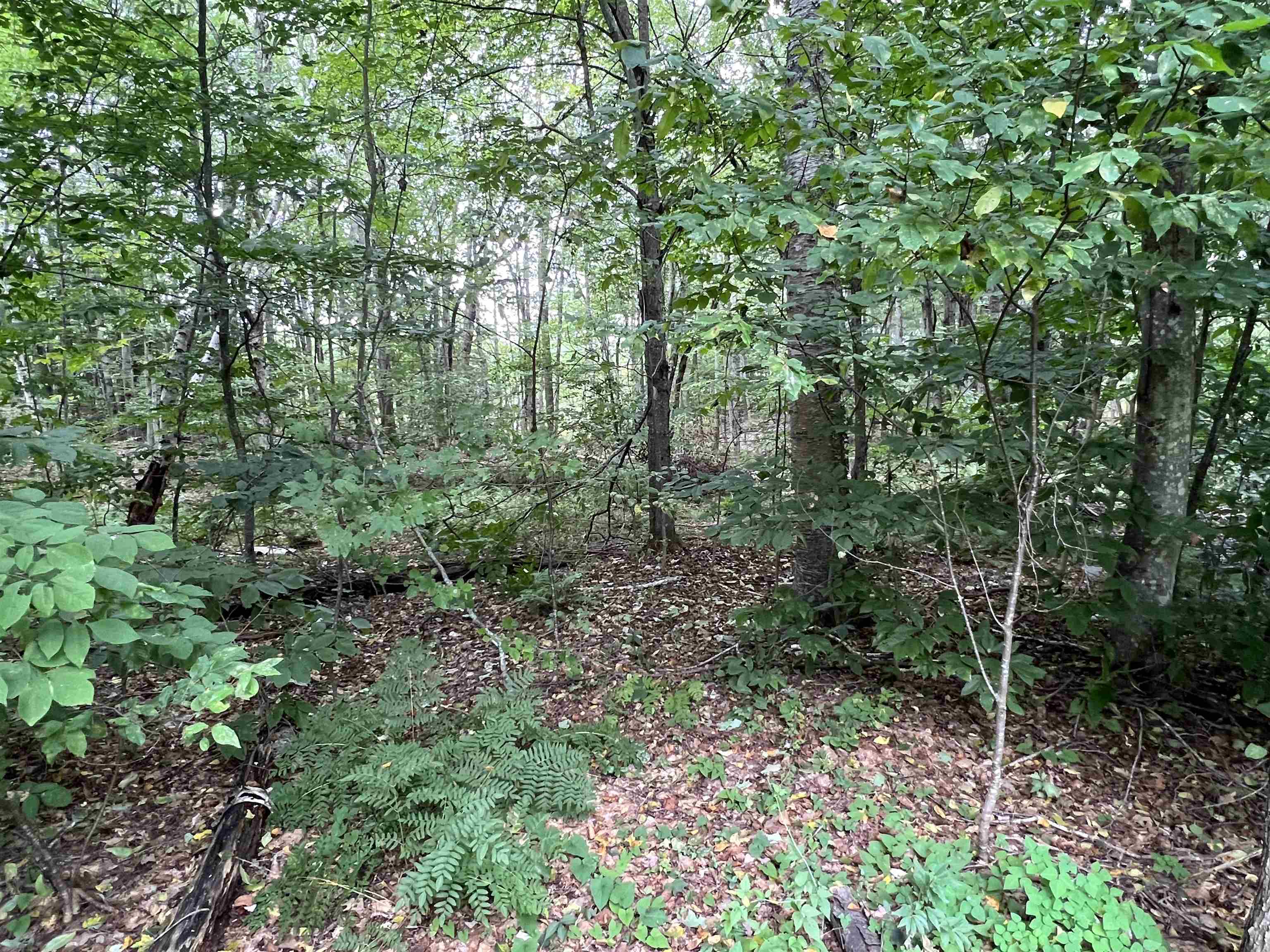 Lot 138 Deer Meadow Road Property Photo 1