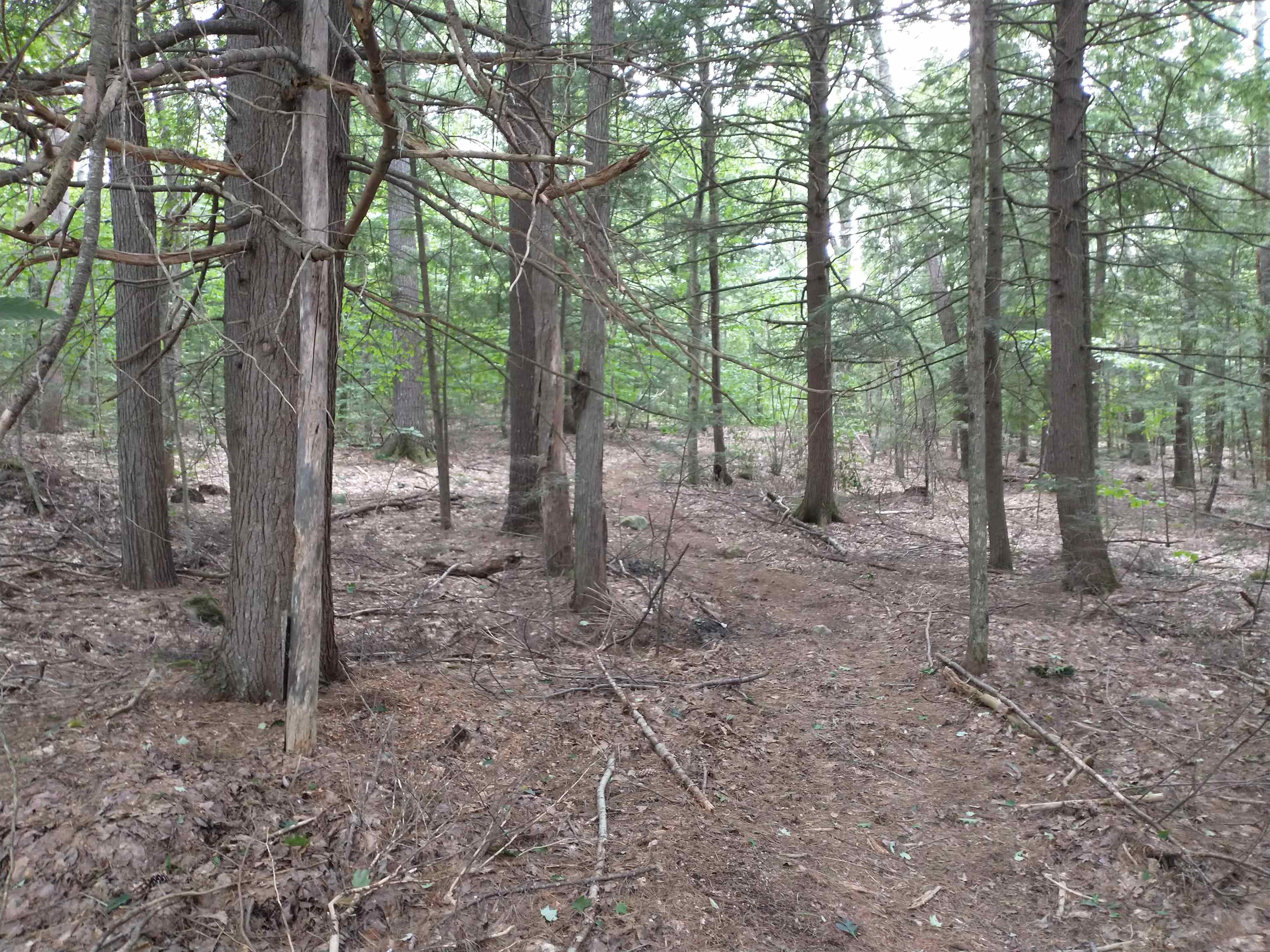 Lot 38 Tanglewood Drive Property Photo 1