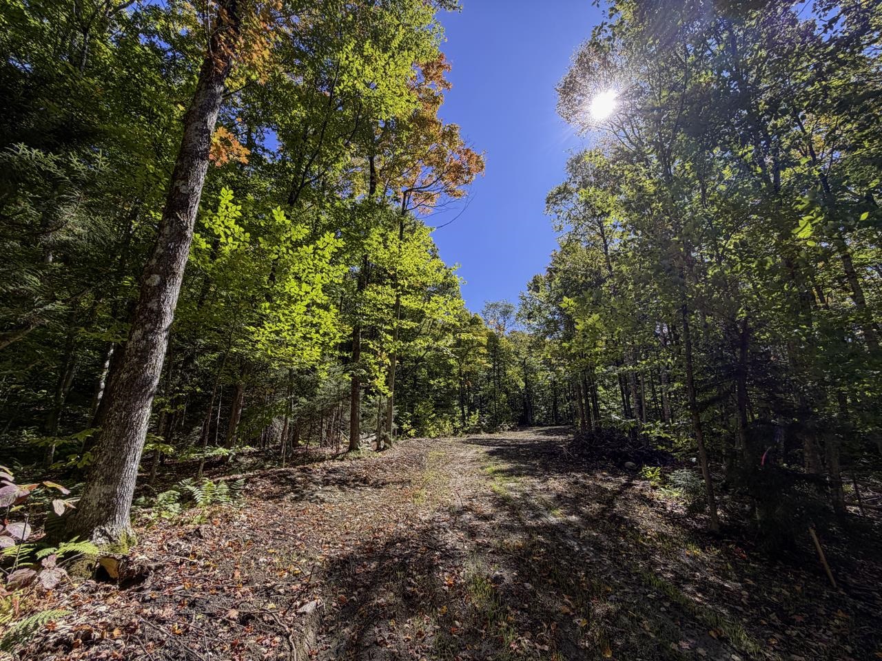 0 Cider Mountain Road Property Photo 6