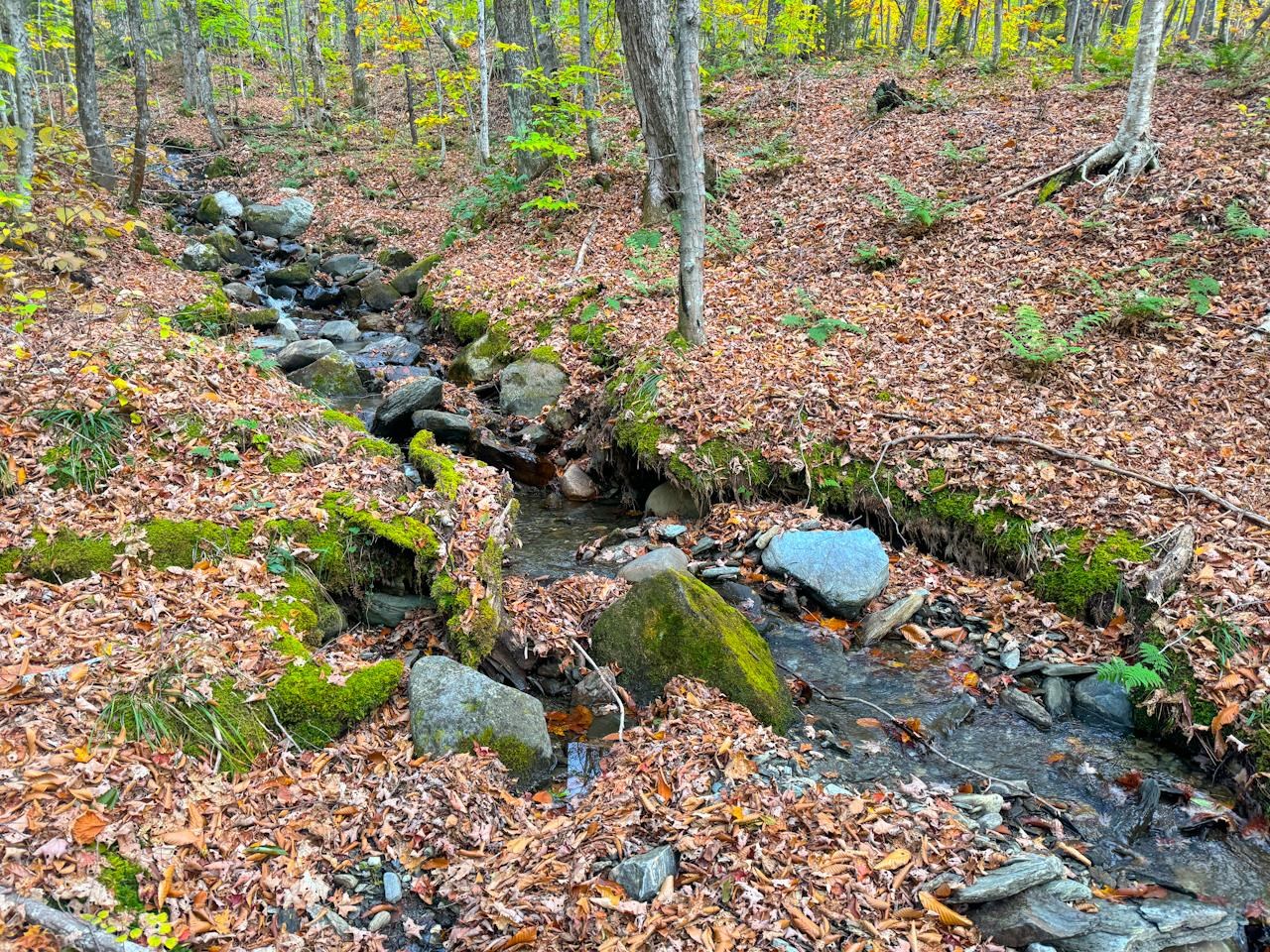0 Cider Mountain Road Property Photo 20
