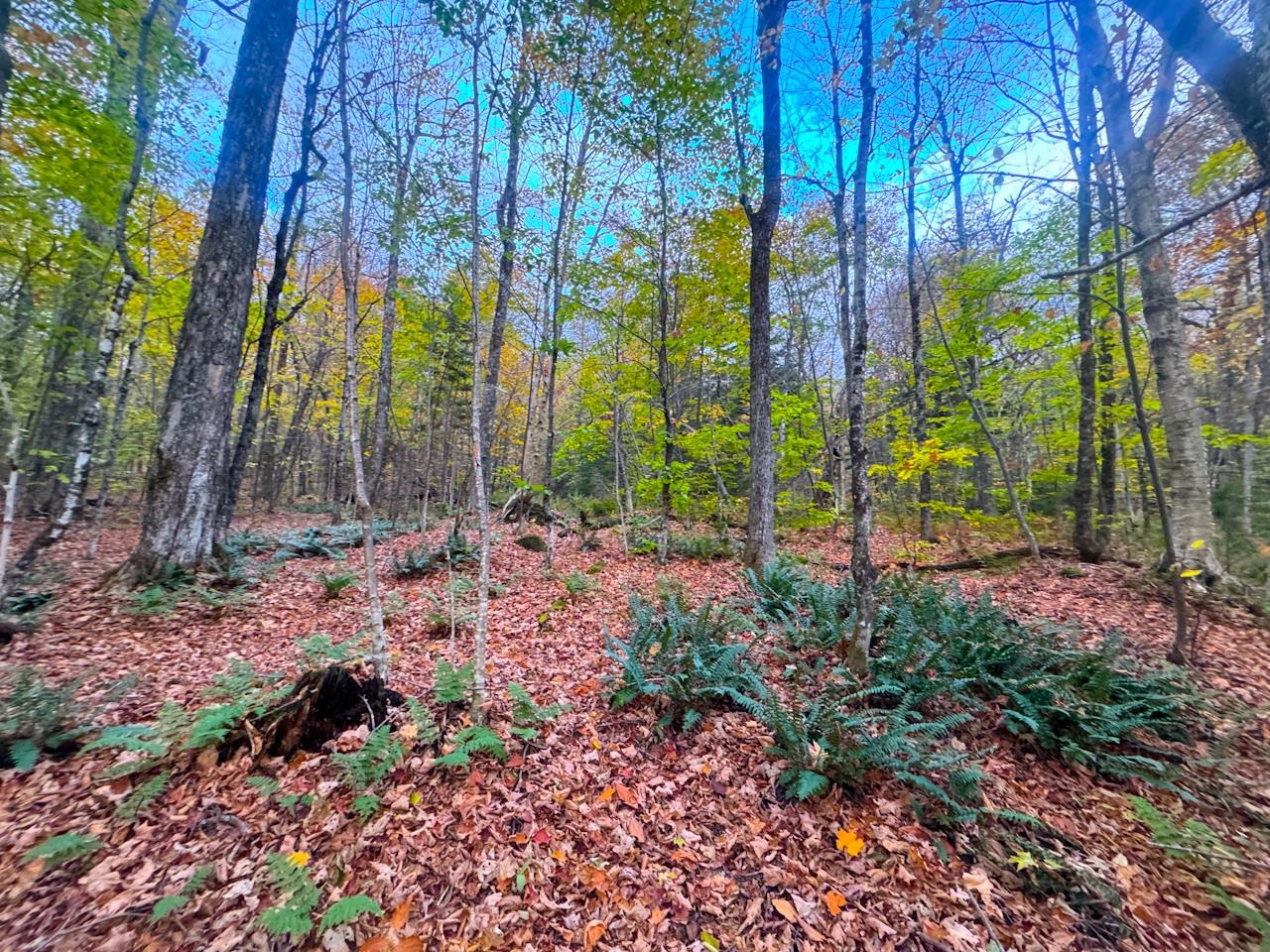 0 Cider Mountain Road Property Photo 26