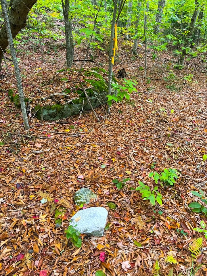 0 Cider Mountain Road Property Photo 29