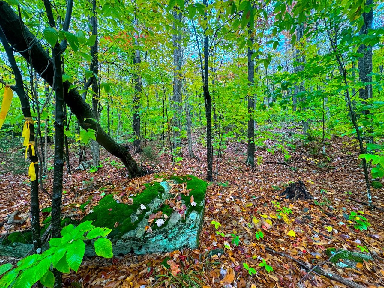 0 Cider Mountain Road Property Photo 38