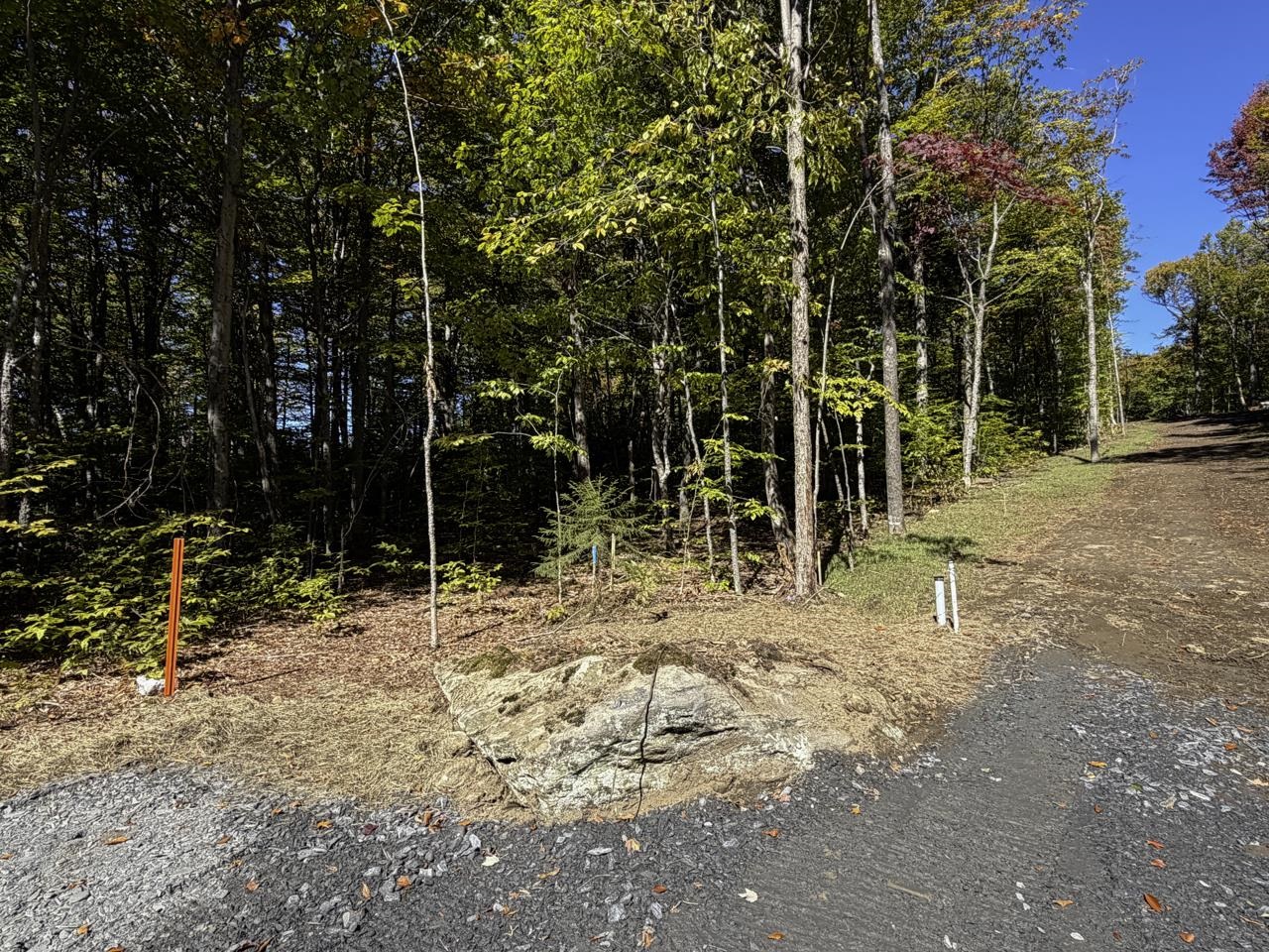 0 Cider Mountain Road Property Photo 43