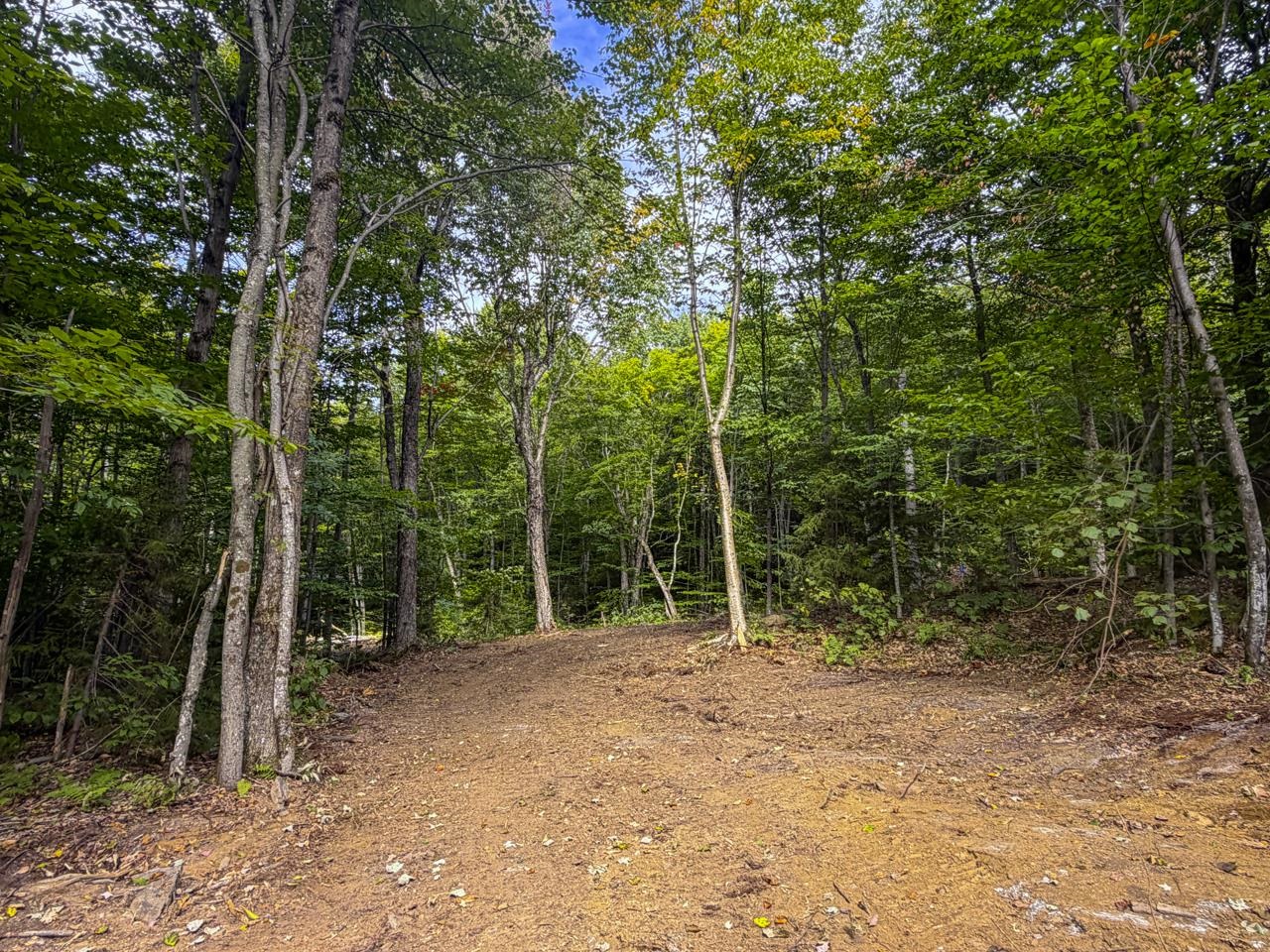 0 Cider Mountain Road Property Photo 45