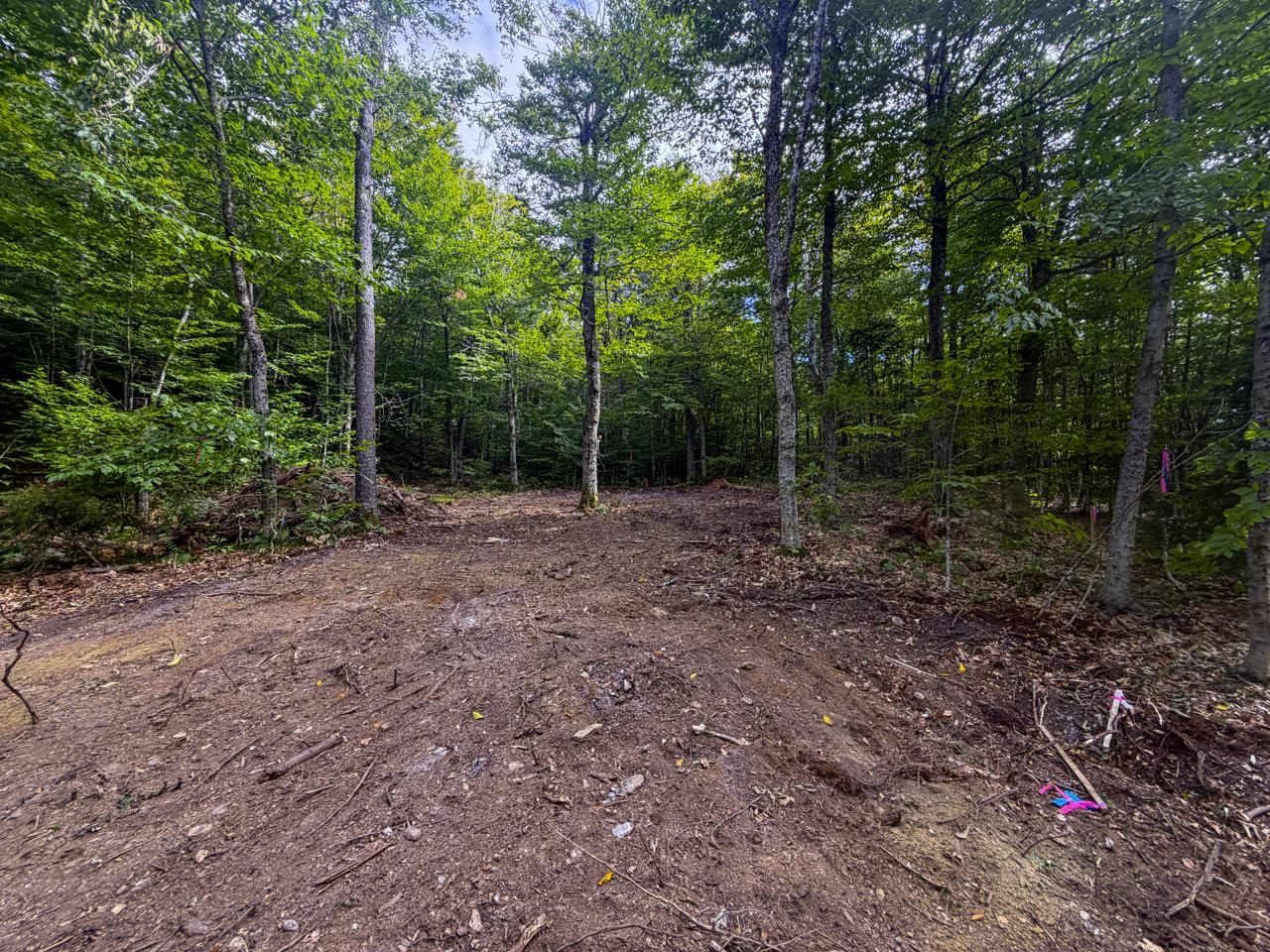 0 Cider Mountain Road Property Photo 50