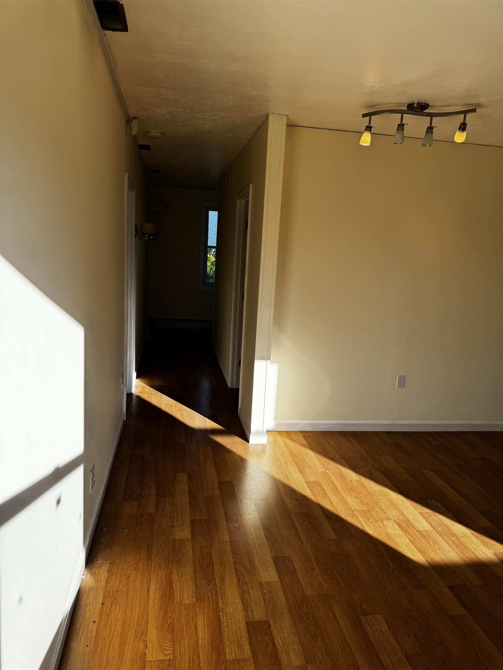 238 Central Street Property Photo 7