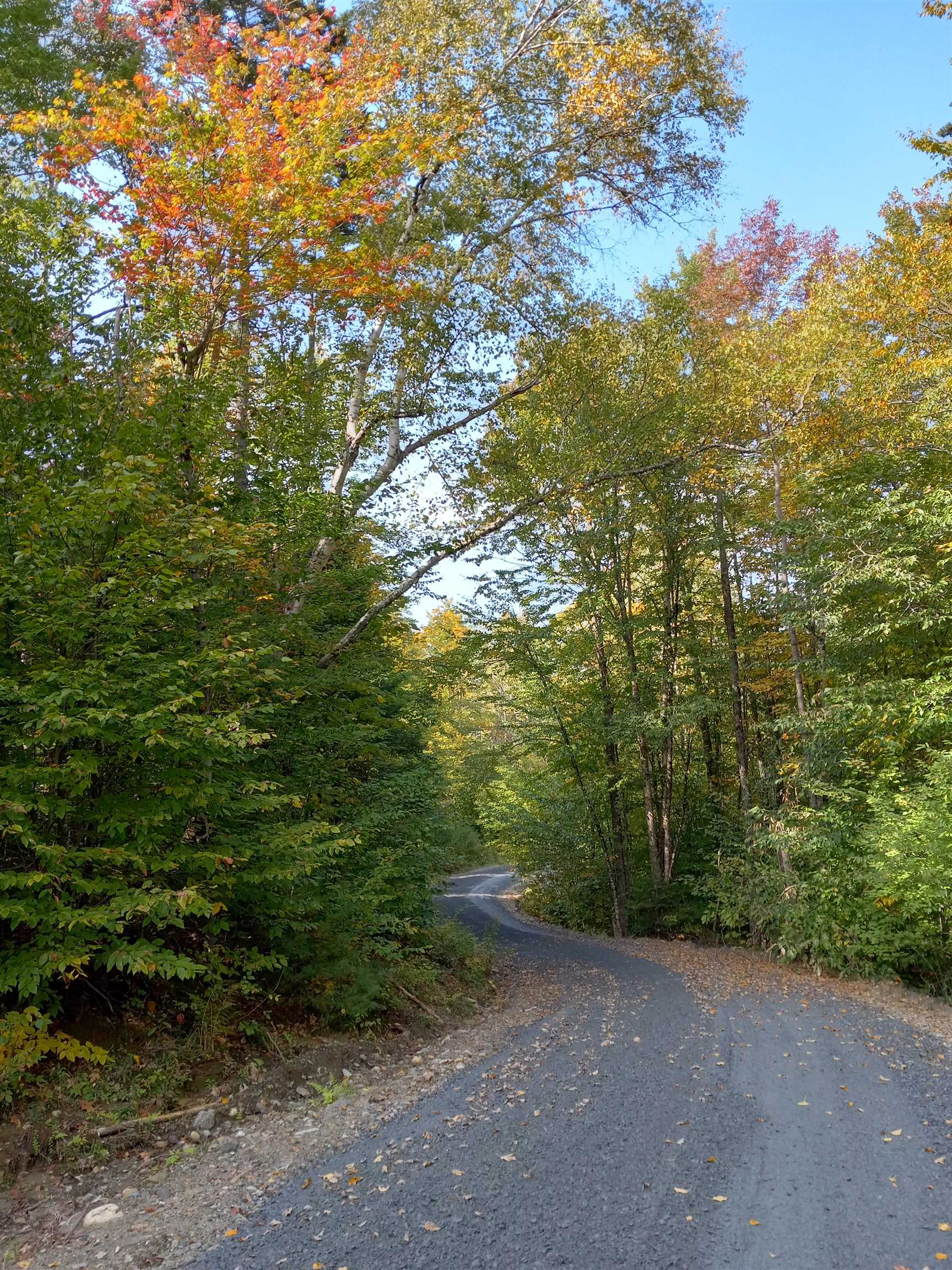 1179 Nh Route 25a Property Photo 3