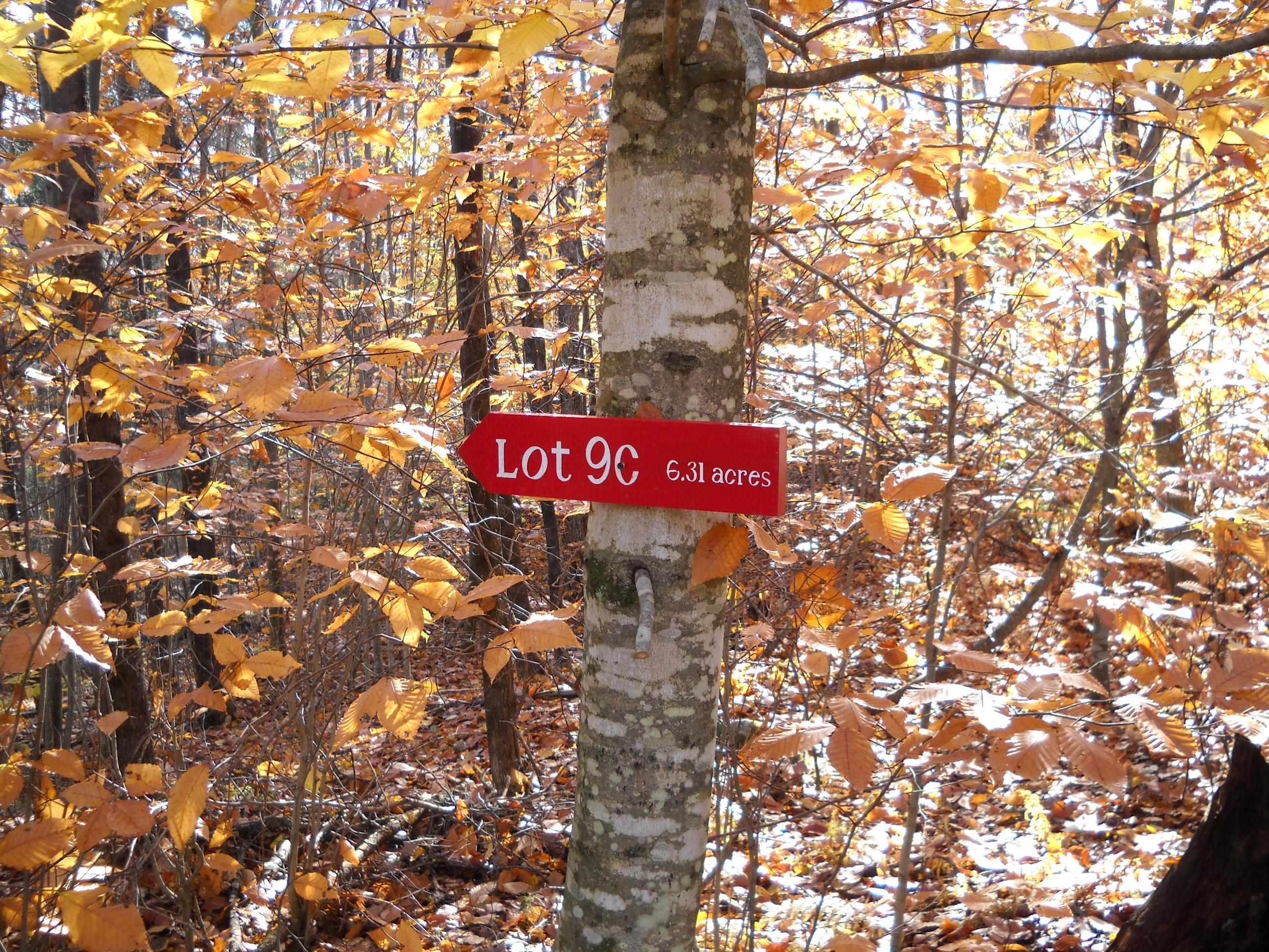 1179 Nh Route 25a Property Photo 5
