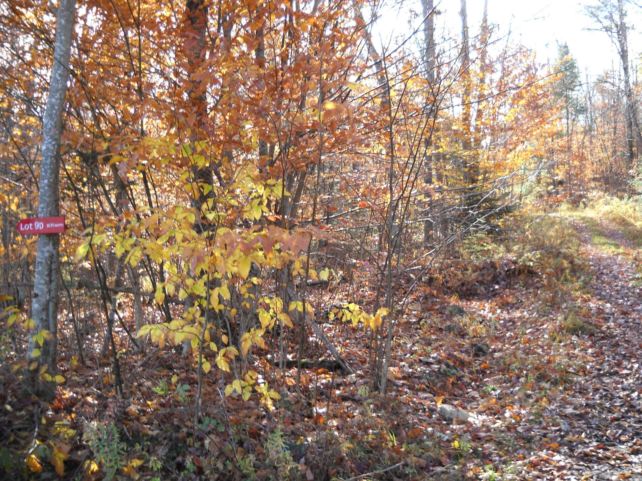 1179 Nh Route 25a Property Photo 3
