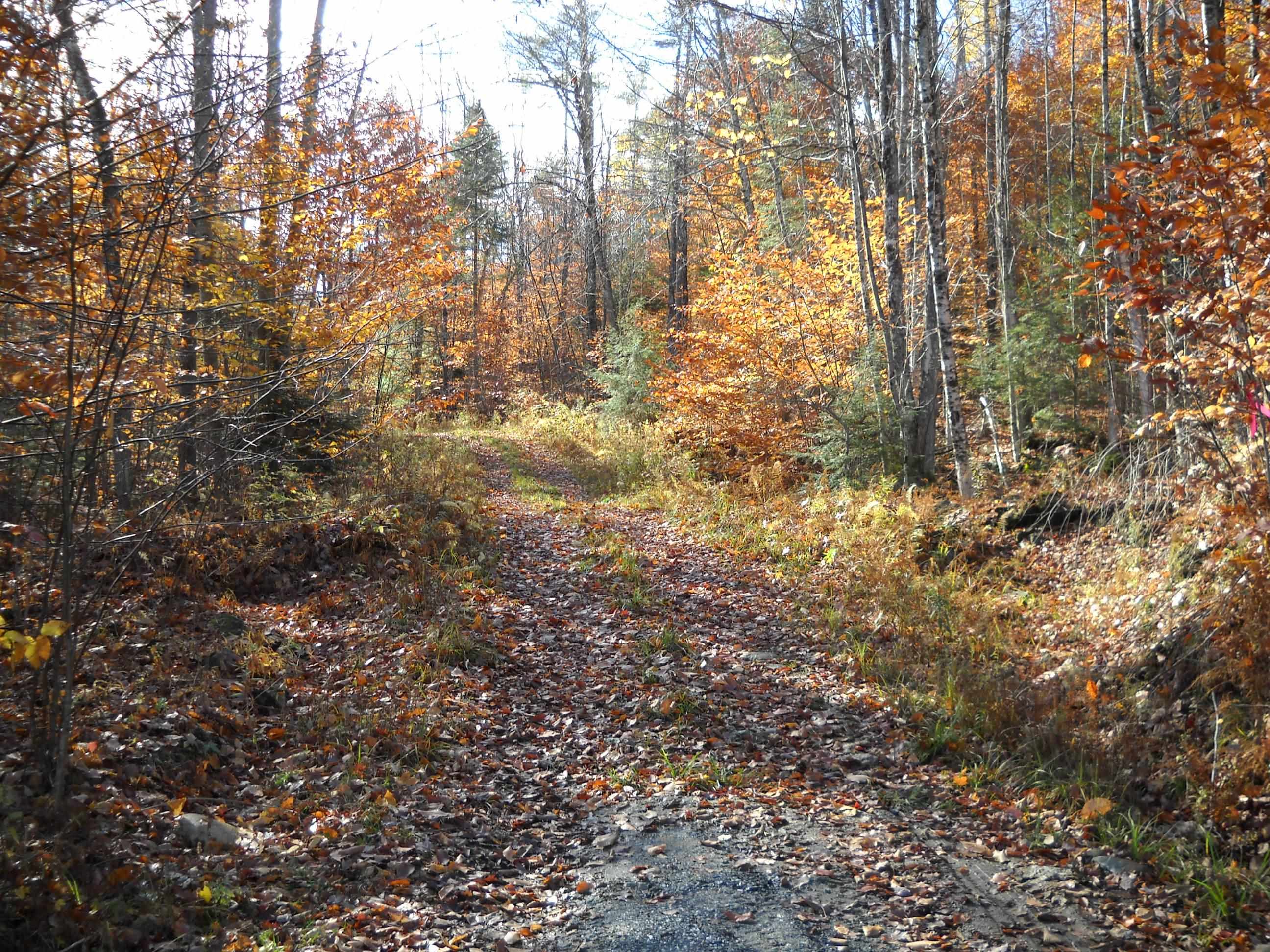 1179 Nh Route 25a Property Photo 4