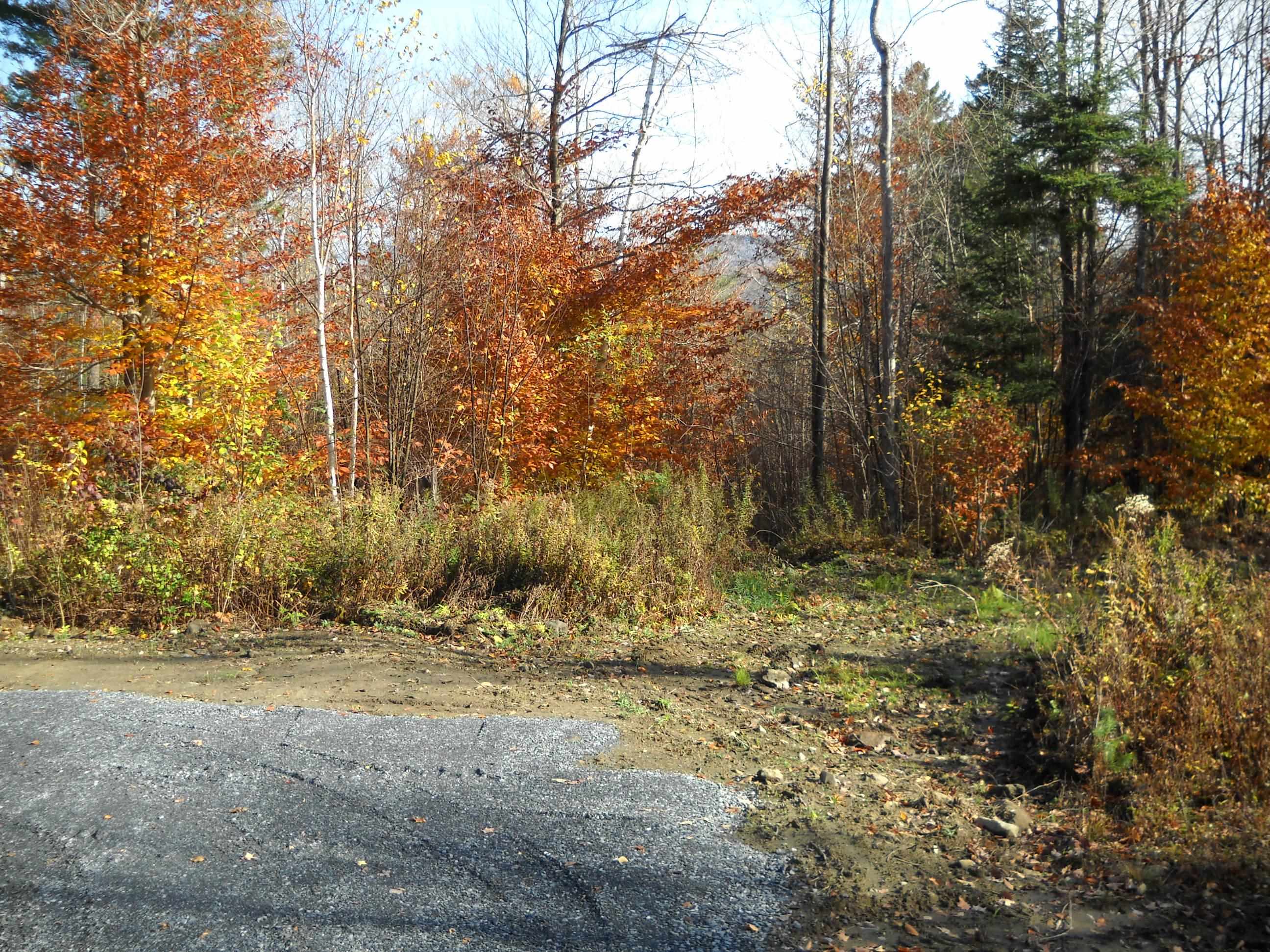 1179 Nh Route 25a Property Photo 5