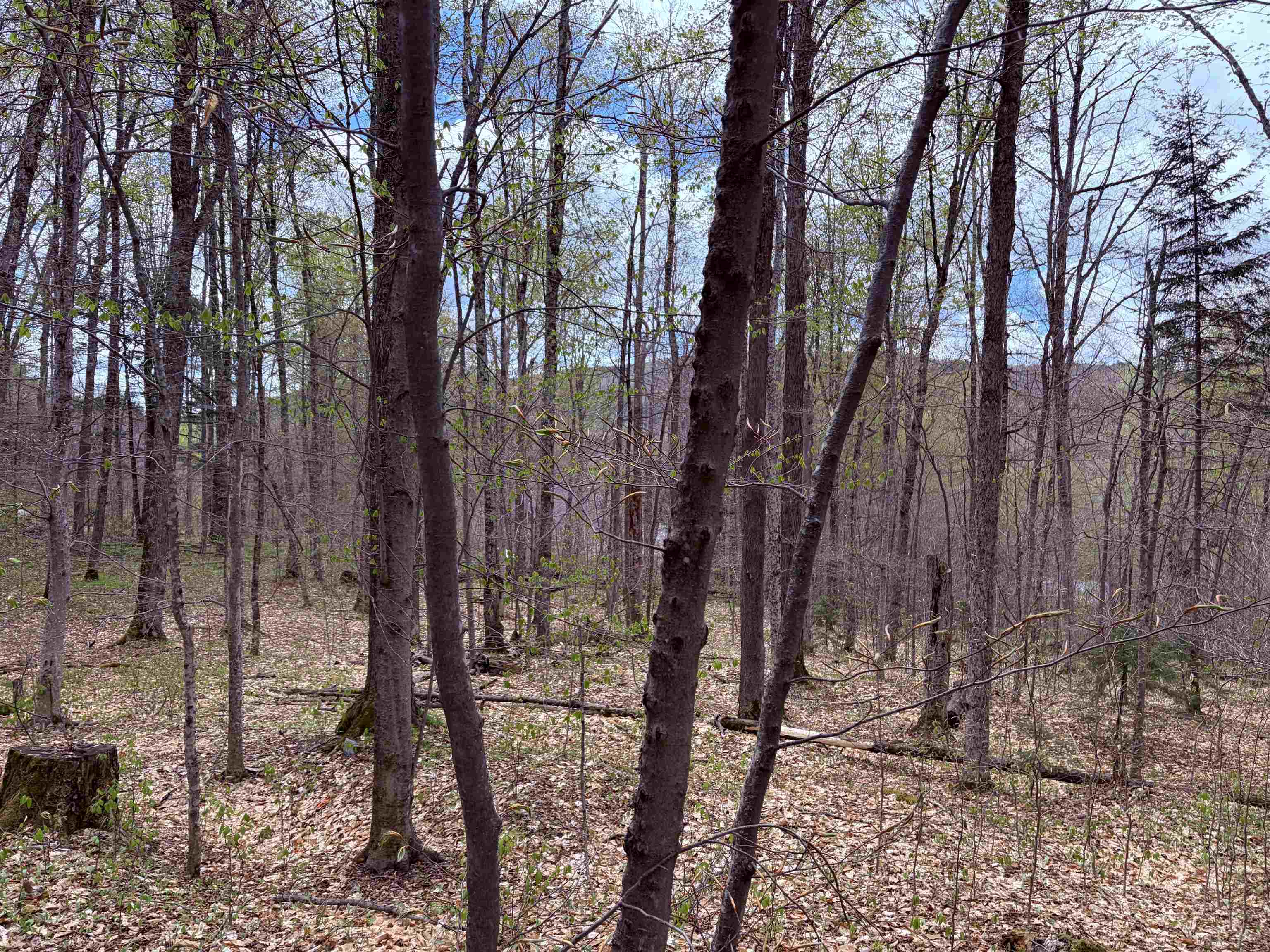 Tbd Boyce Road Property Photo 5