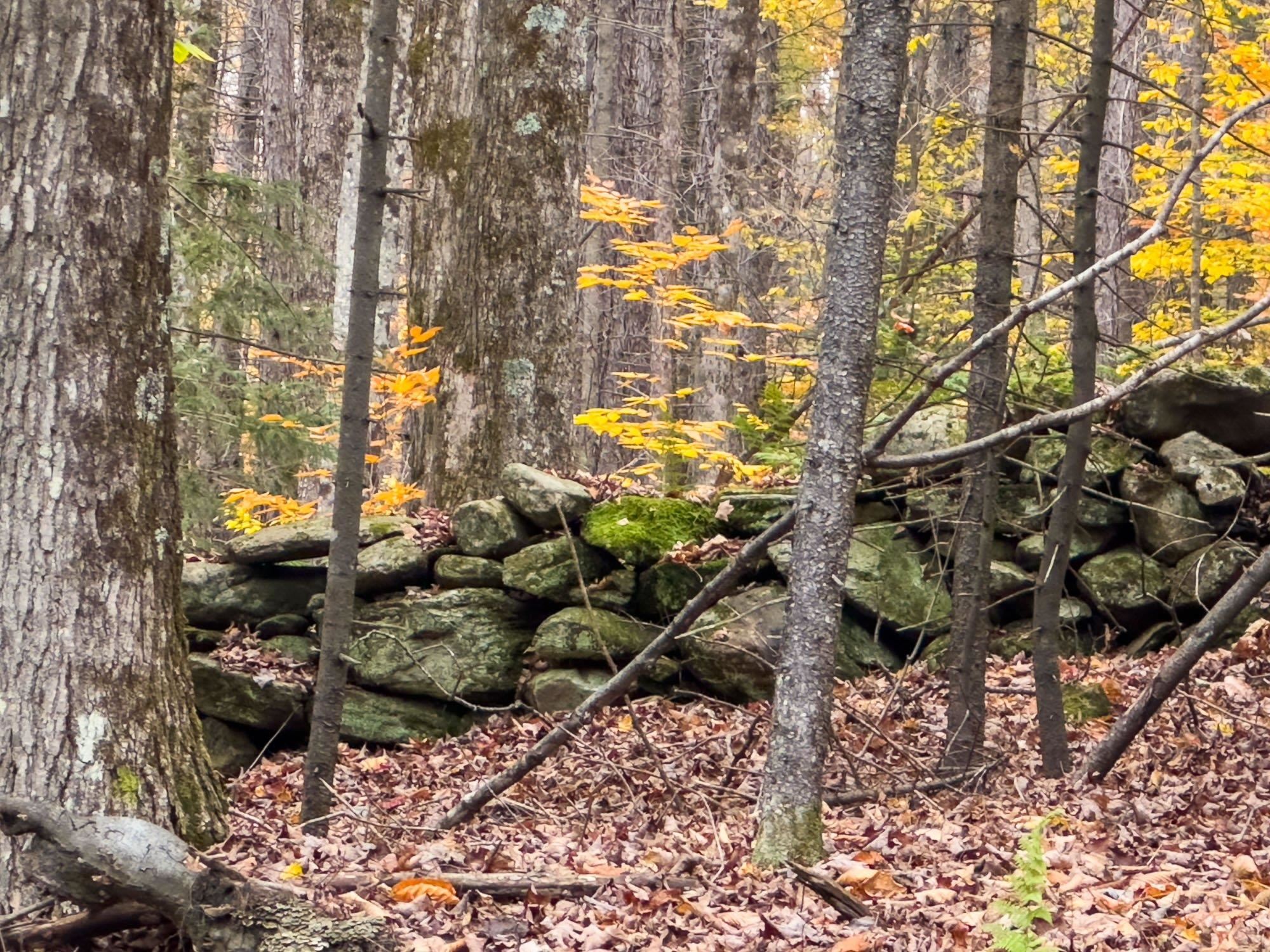Tbd Boyce Road Property Photo 6