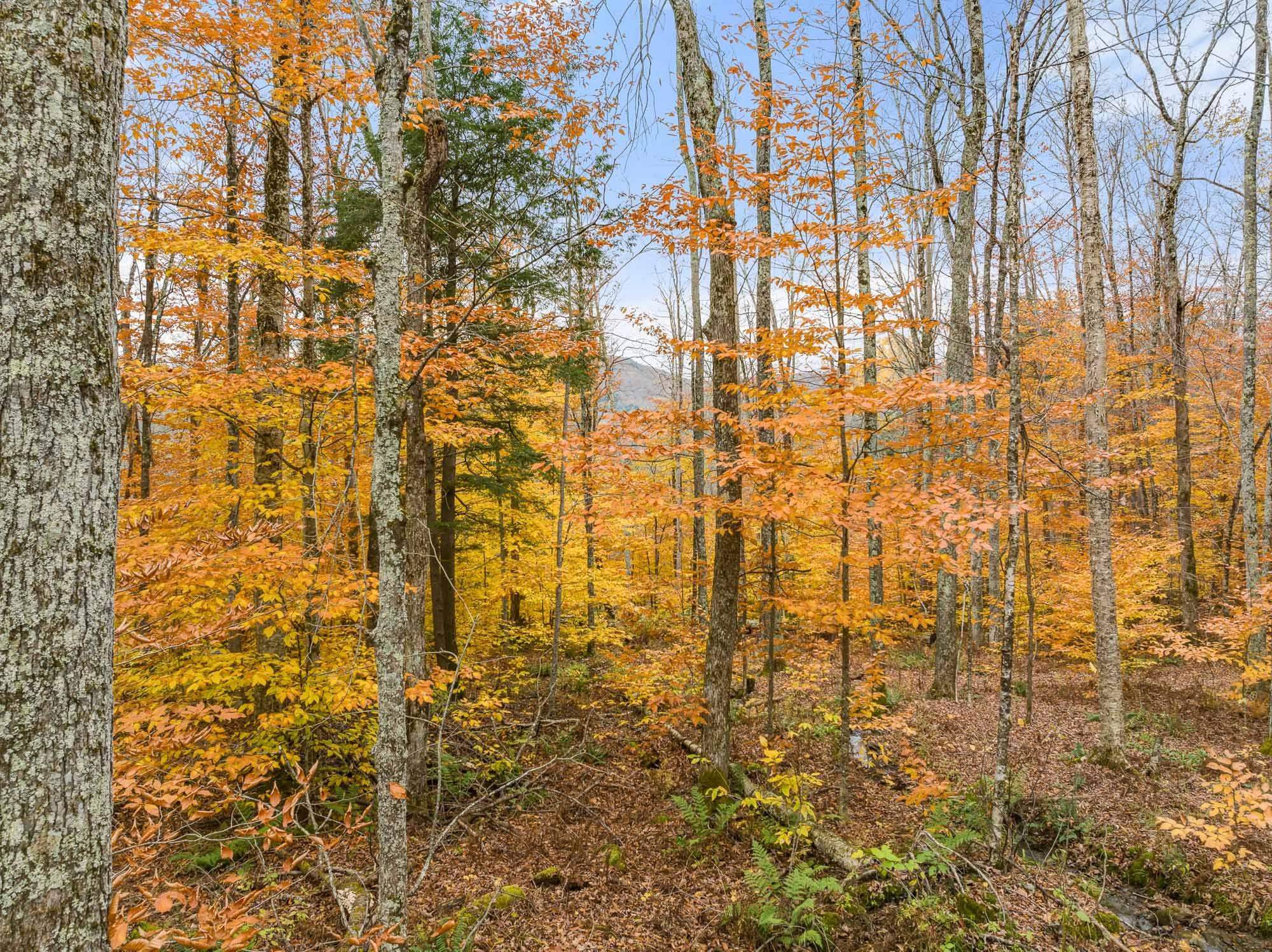 Tbd Boyce Road Property Photo 14