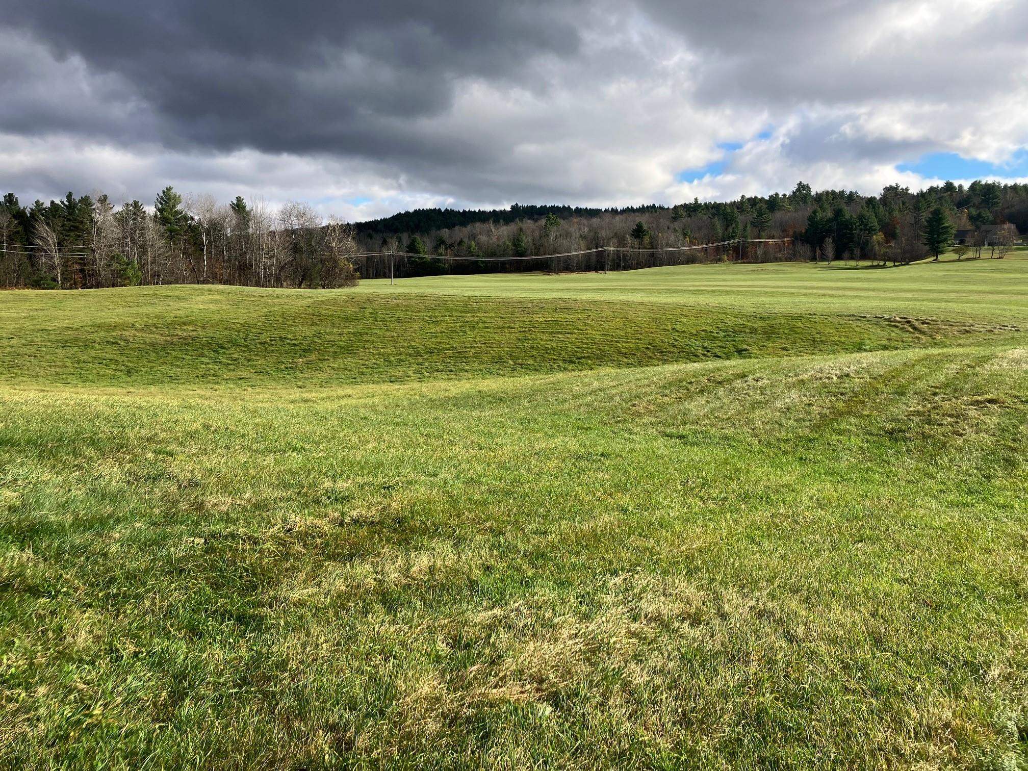 0 Vt Route 100 Property Photo 8