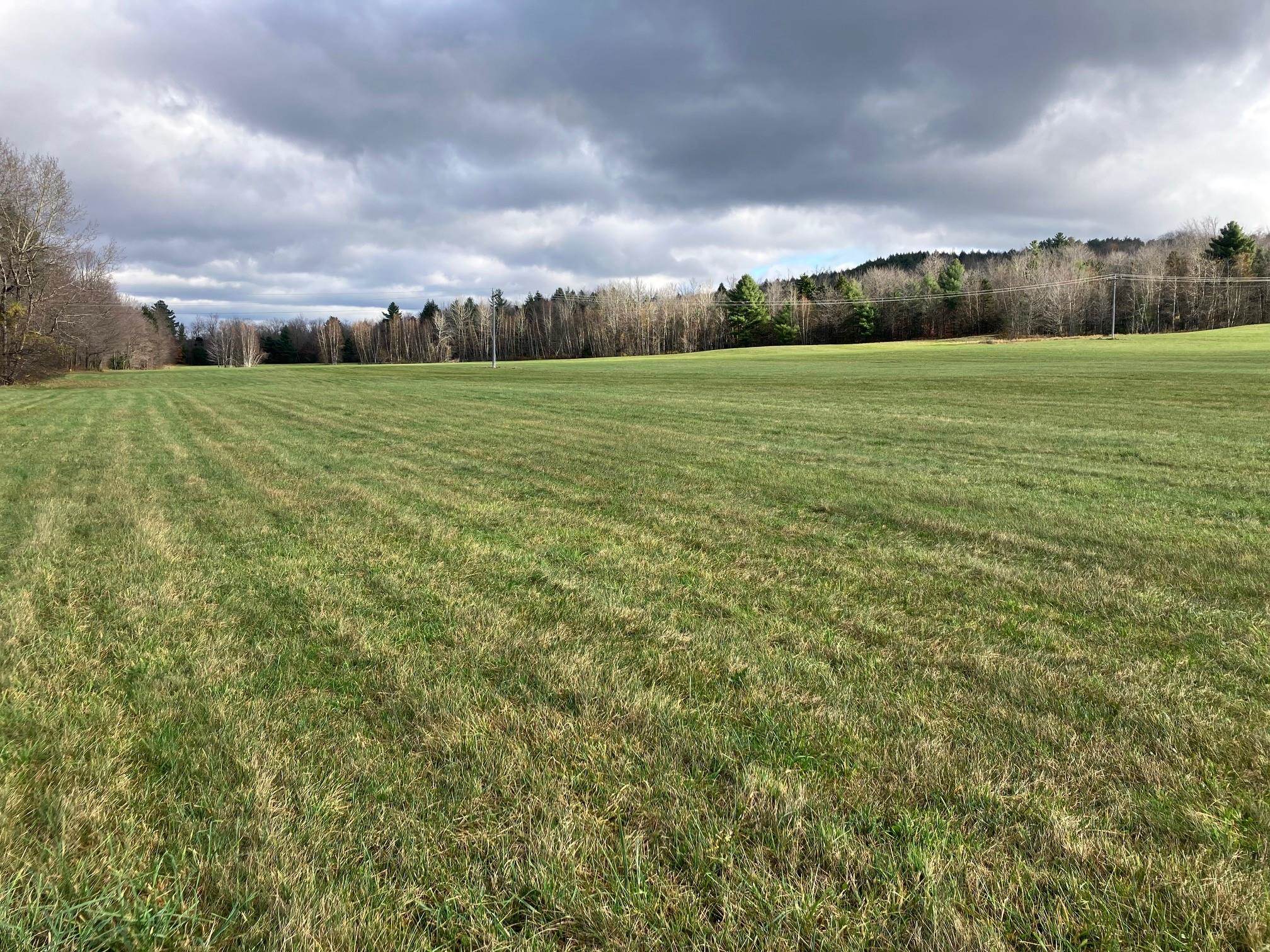 0 Vt Route 100 Property Photo 9