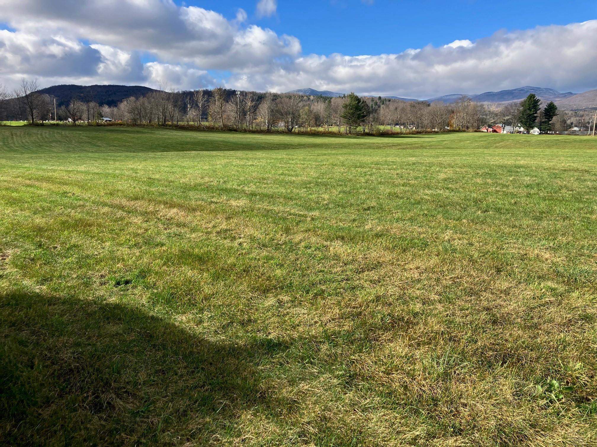 0 Vt Route 100 Property Photo 13