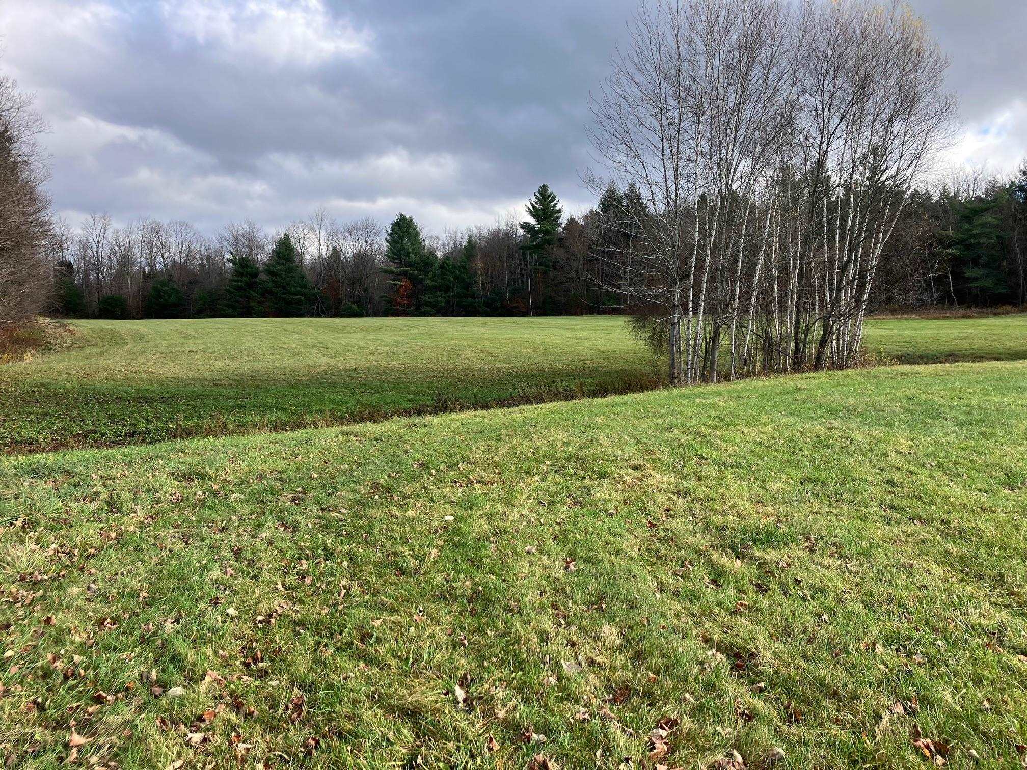 0 Vt Route 100 Property Photo 15