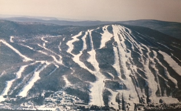 8a Freestyle Circle Property Photo 2