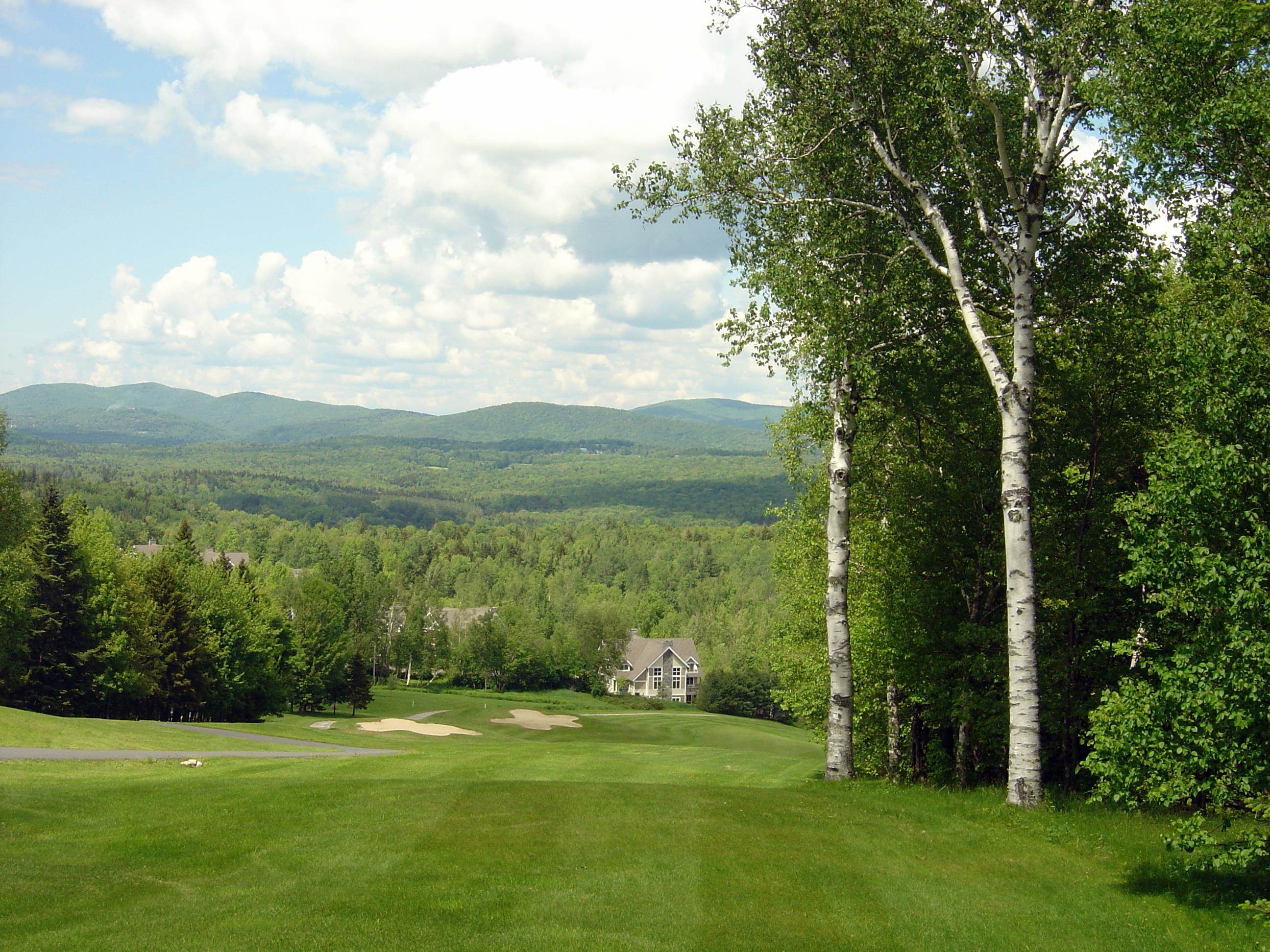8a Freestyle Circle Property Photo 7
