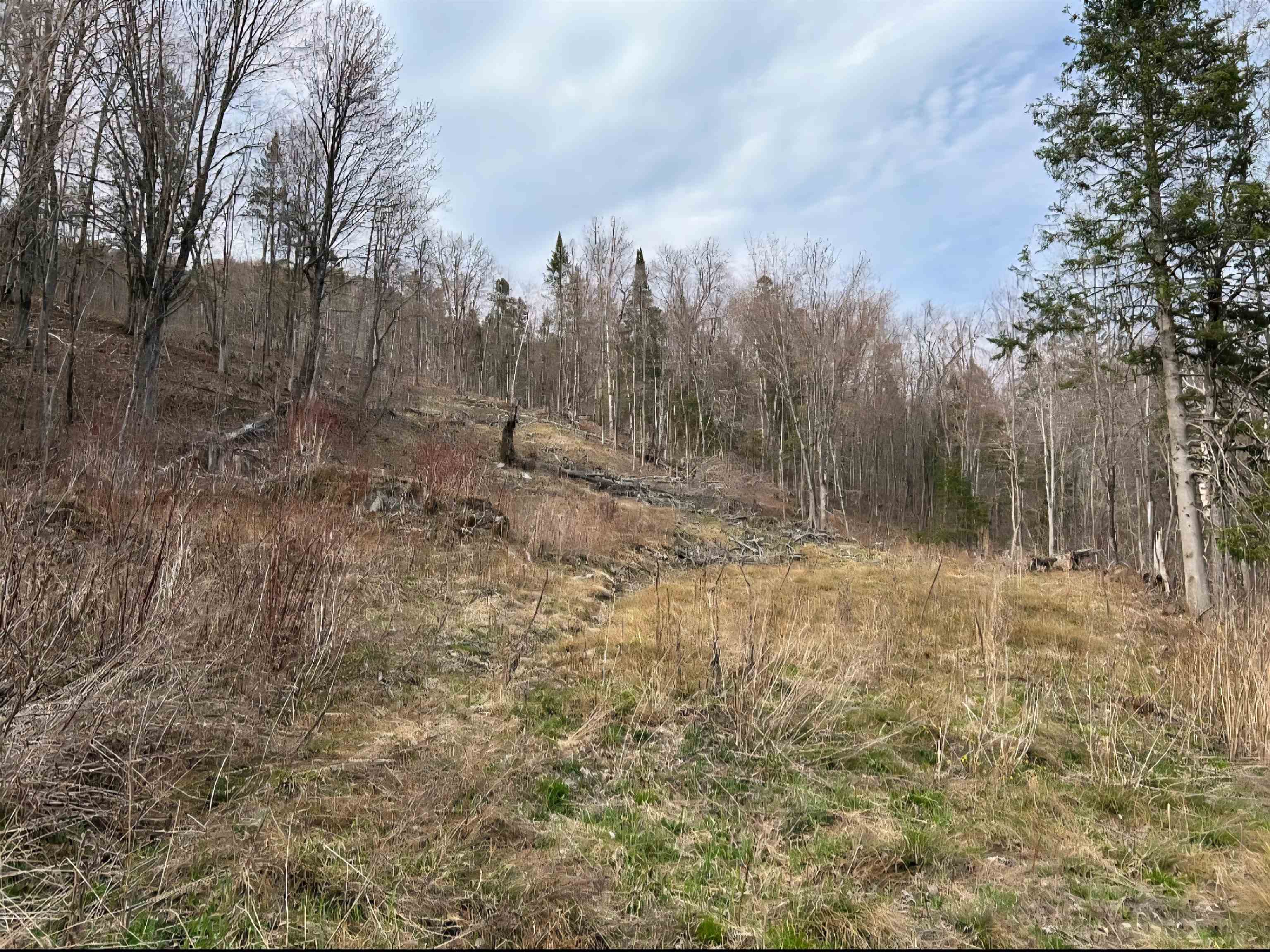 1837 River Road Property Photo 1