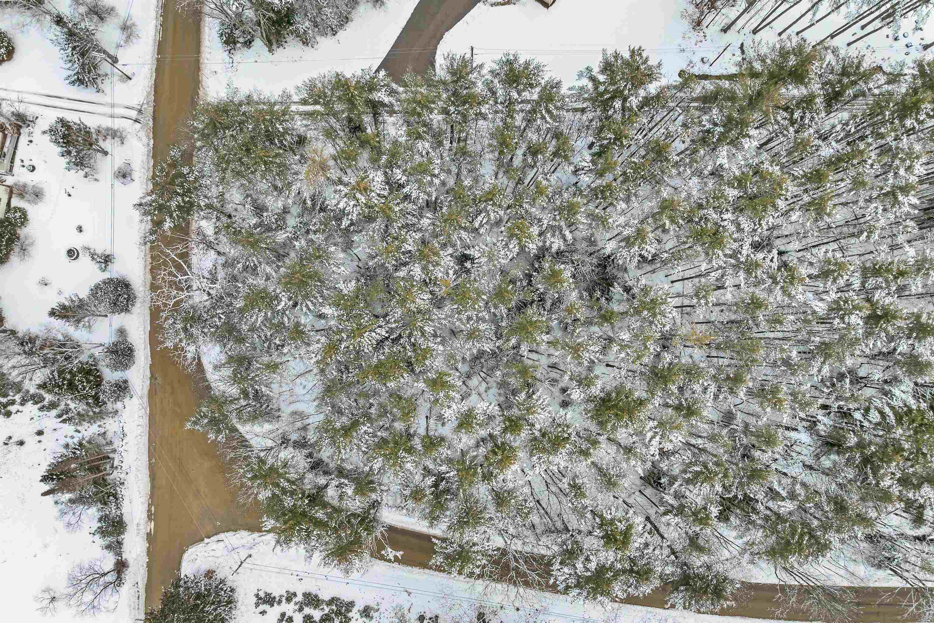 12 Mill Pond Road Property Photo 11