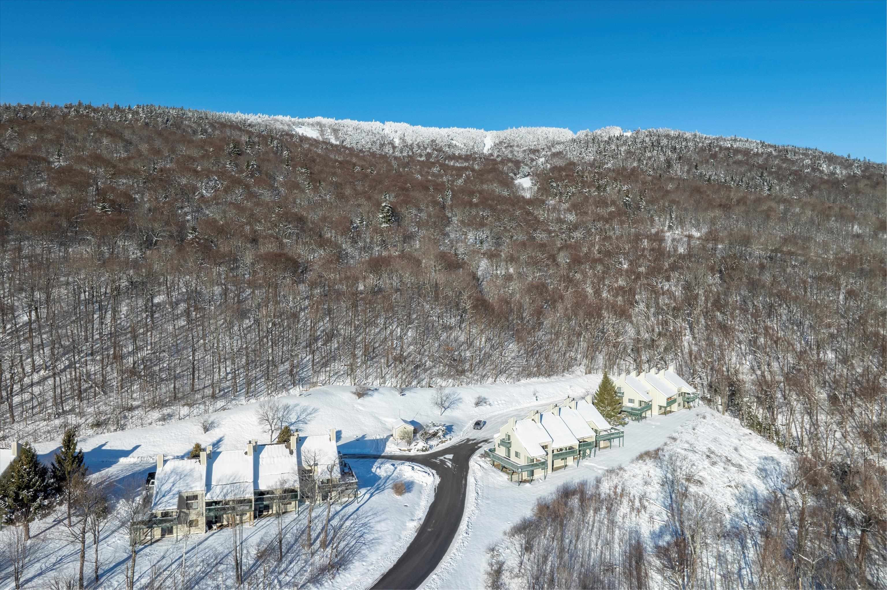 224 Okemo Trailside Extension Property Photo 26