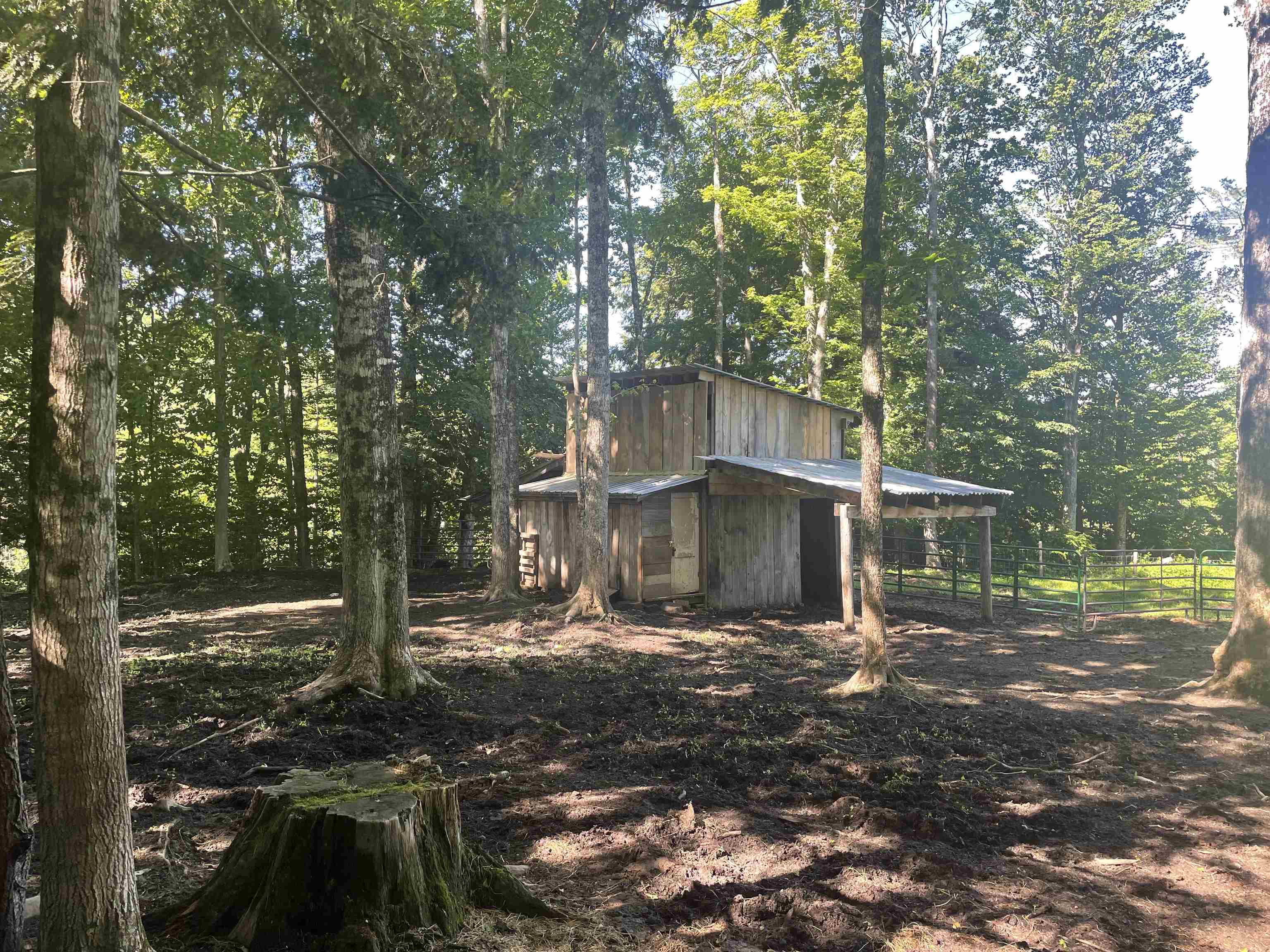 87 Trombley Road Property Photo 20
