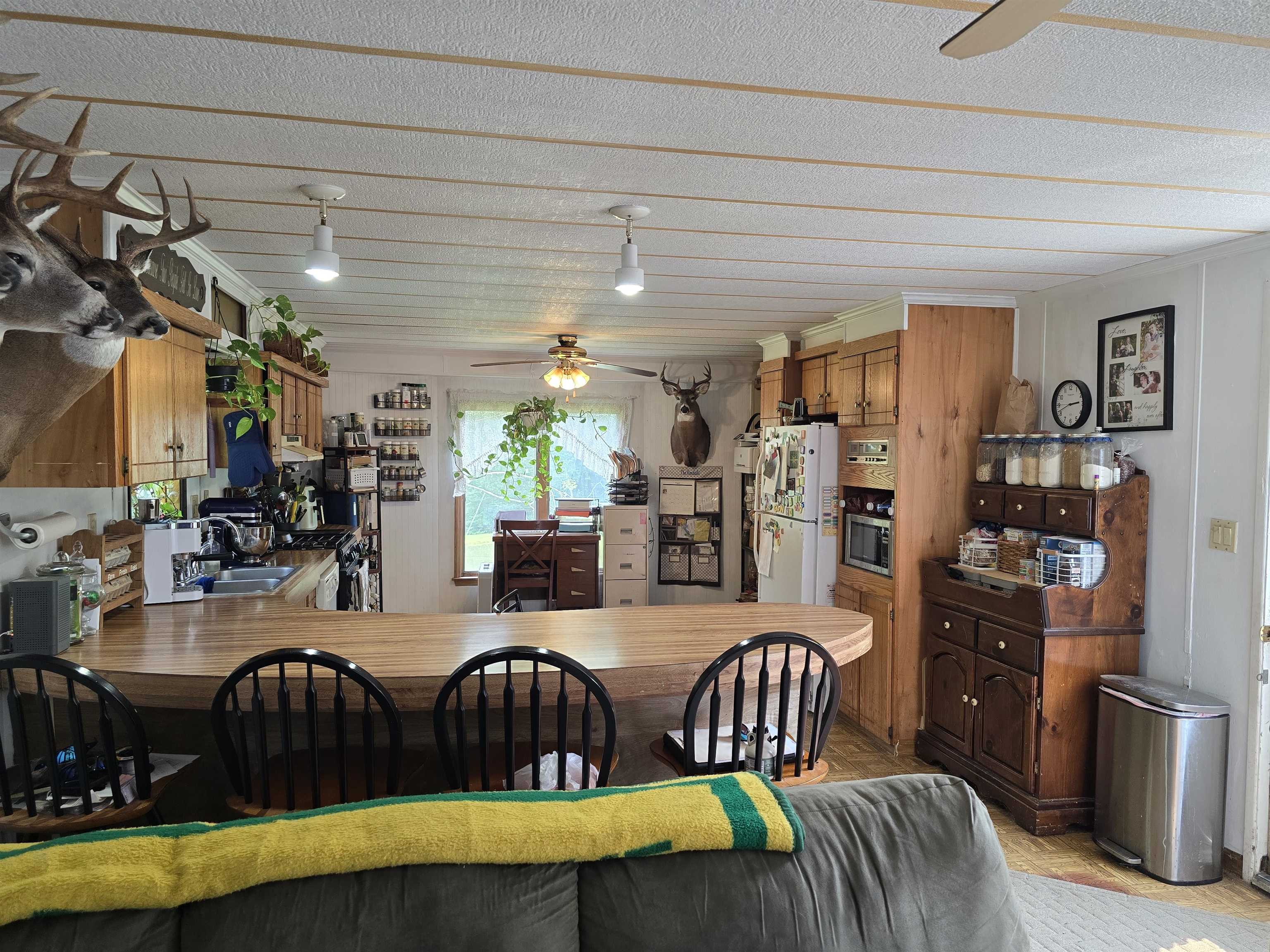87 Trombley Road Property Photo 29