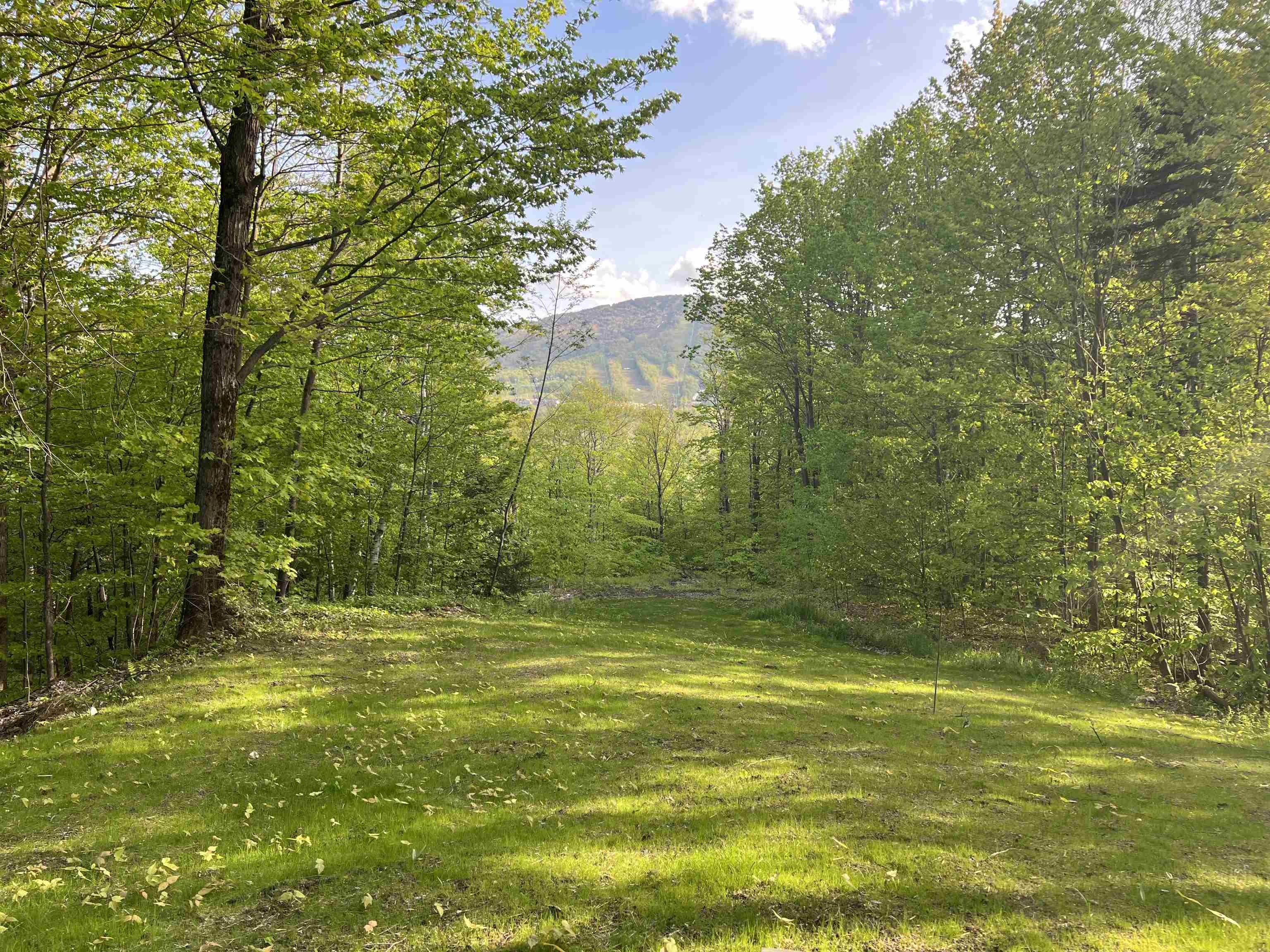 14 Old Ridge Road Property Photo 35
