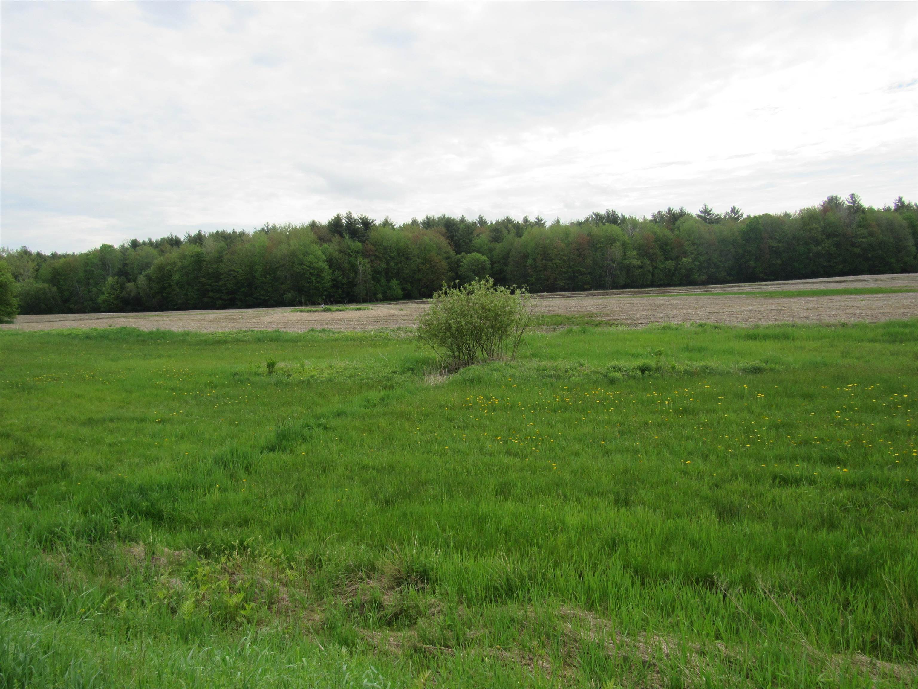 917 Gore Road Property Photo 3