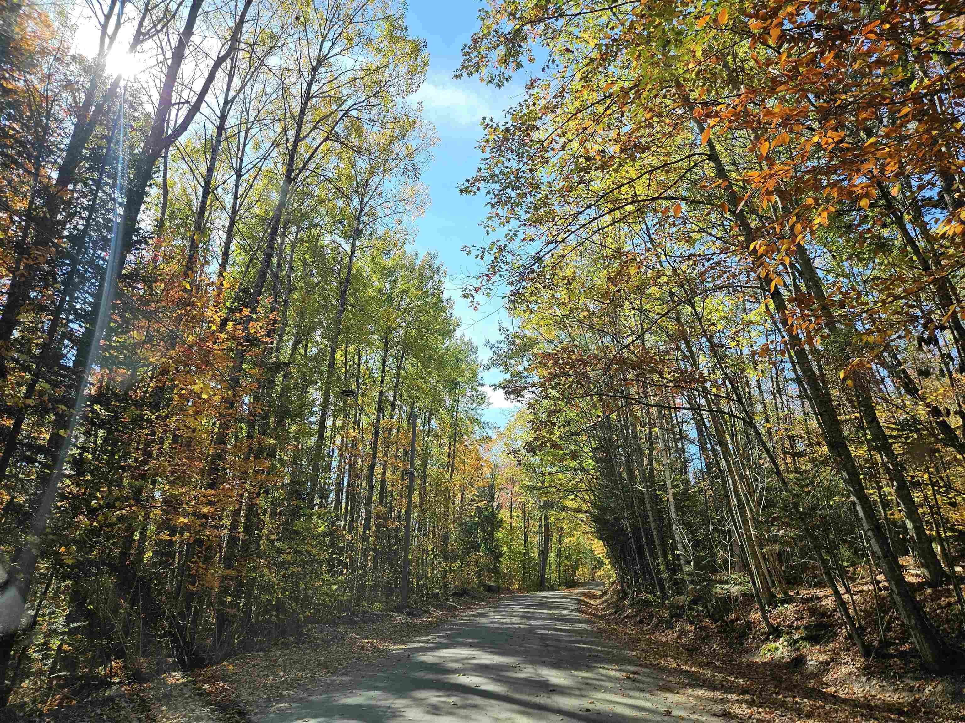 Lot 90 Faraway Road Property Photo 1
