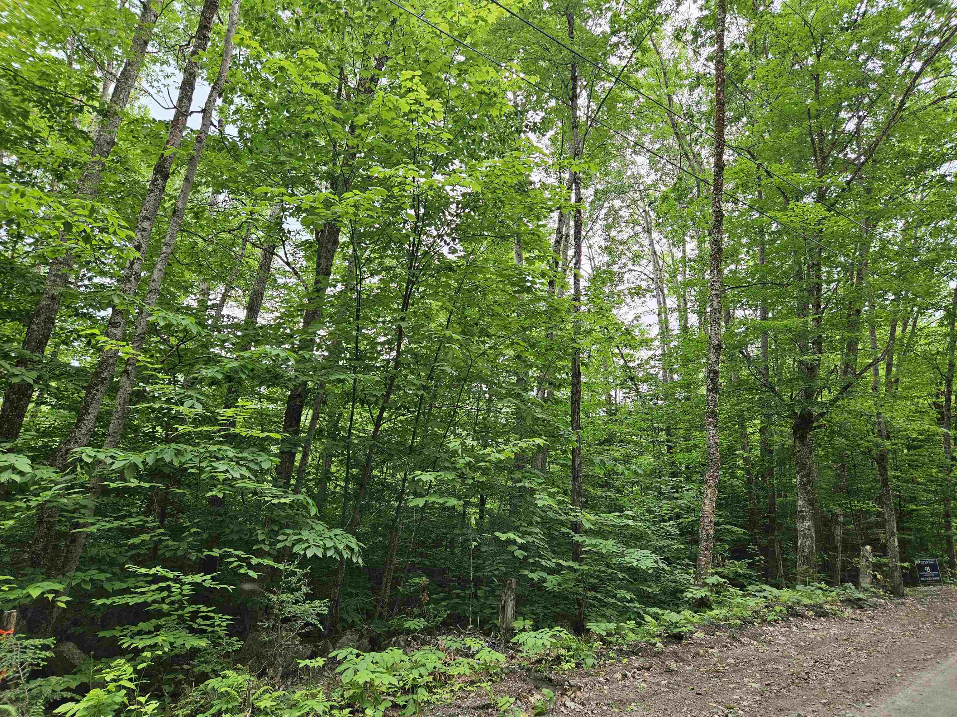 Lot 90 Faraway Road Property Photo 4