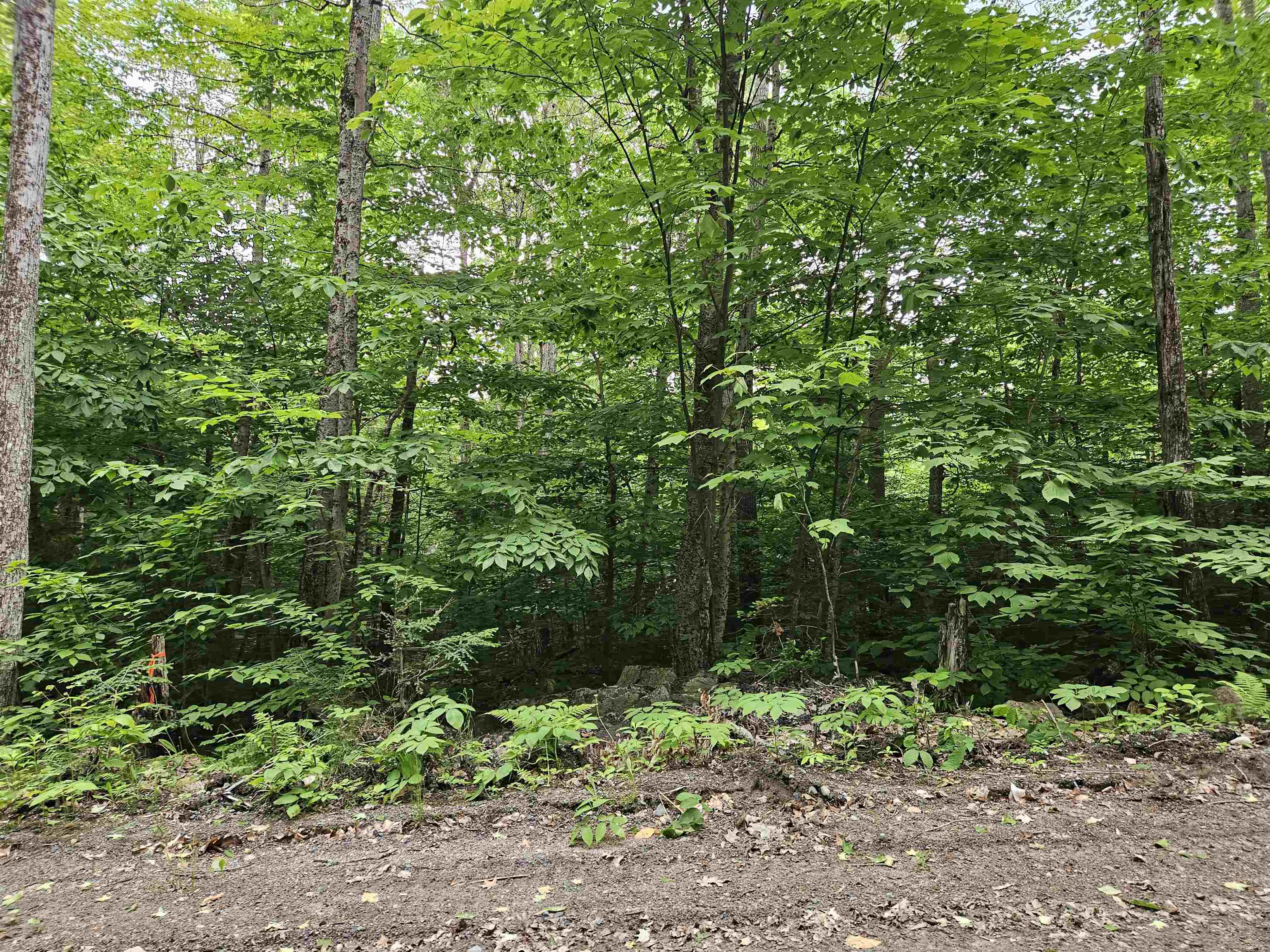 Lot 90 Faraway Road Property Photo 6