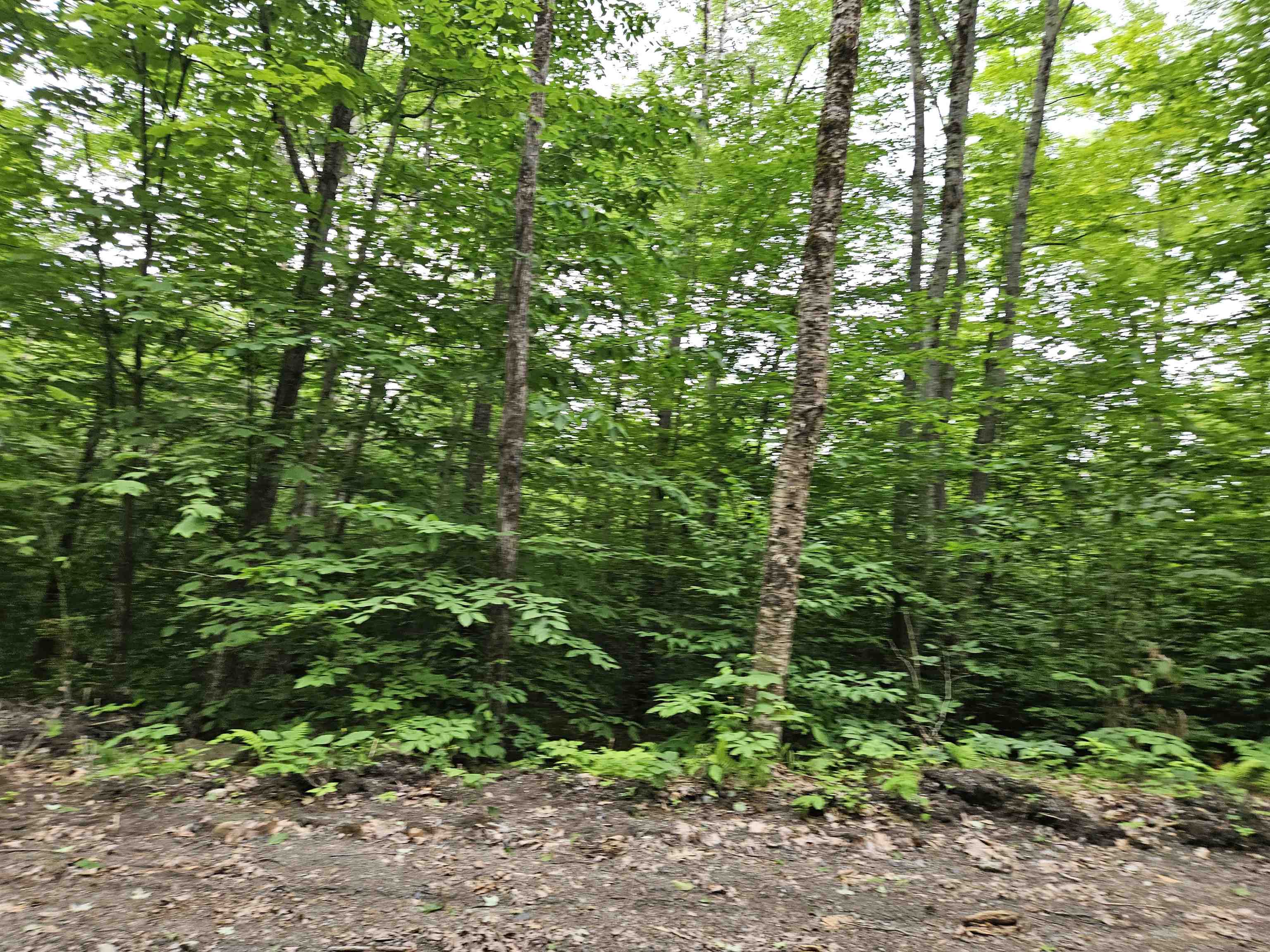 Lot 90 Faraway Road Property Photo 7