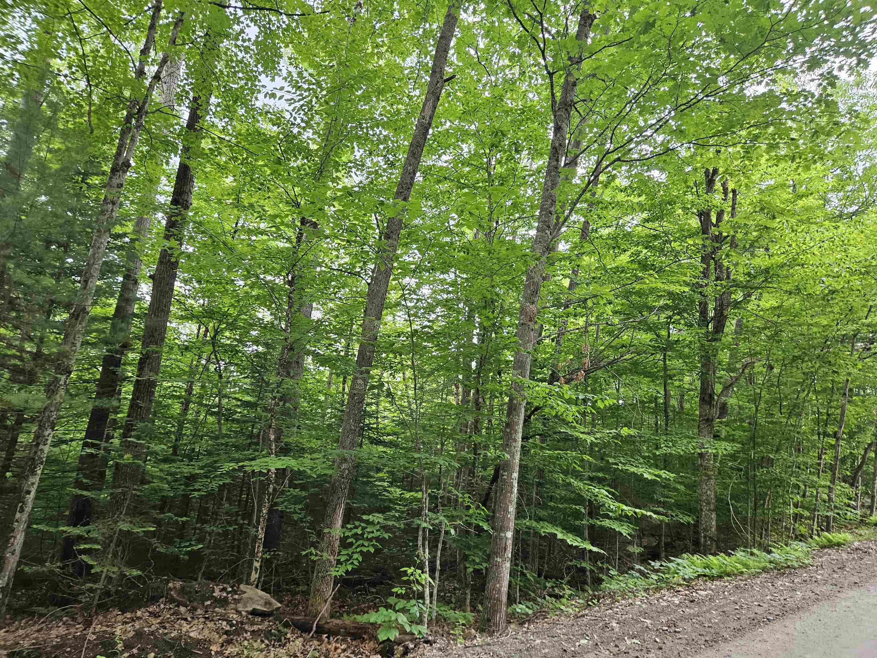 Lot 90 Faraway Road Property Photo 9