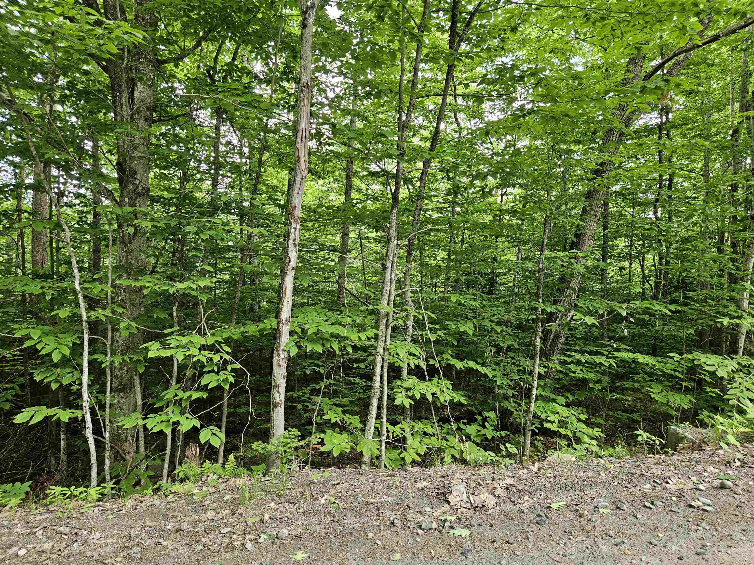 Lot 90 Faraway Road Property Photo 11