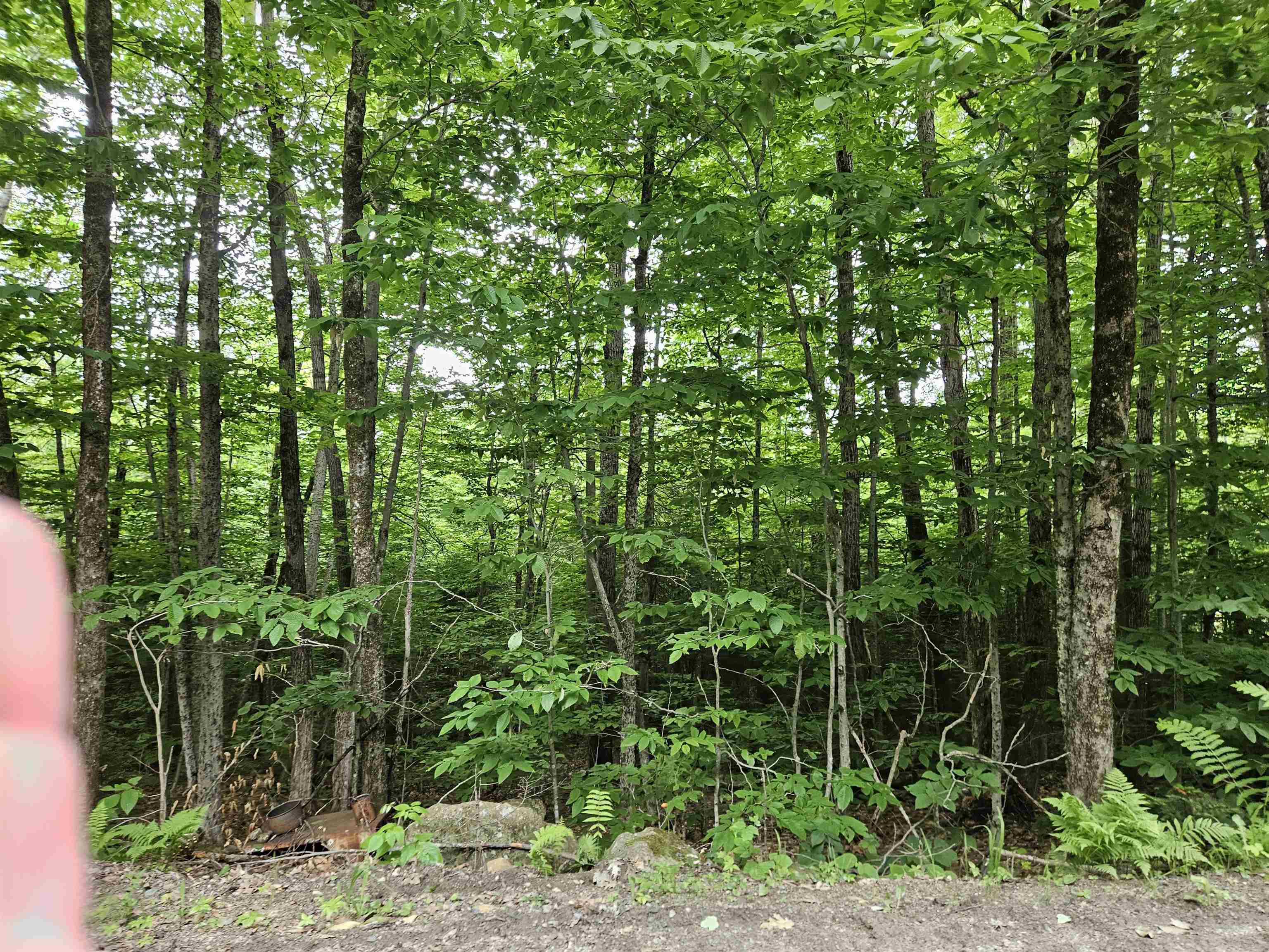 Lot 90 Faraway Road Property Photo 13
