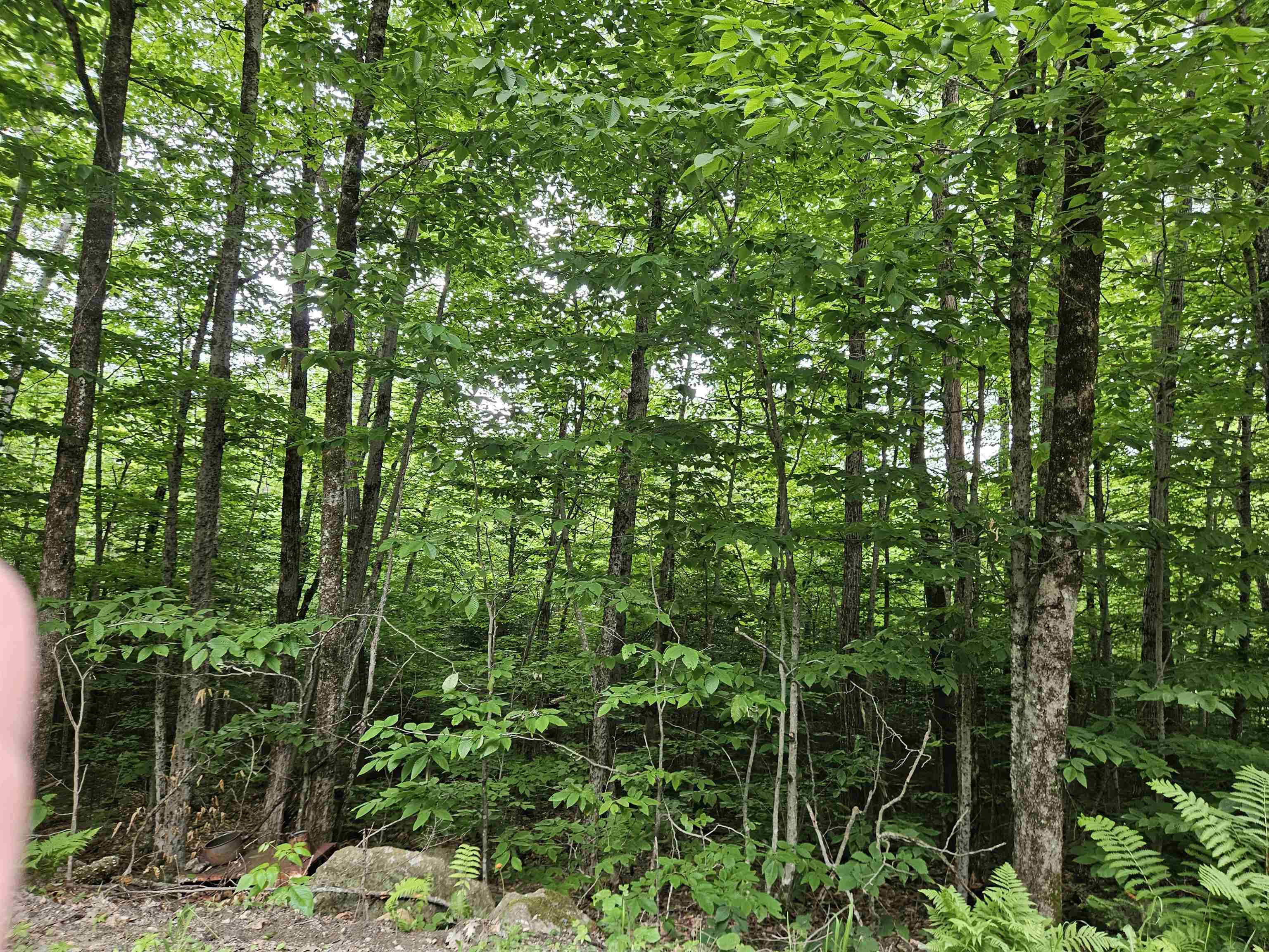 Lot 90 Faraway Road Property Photo 14
